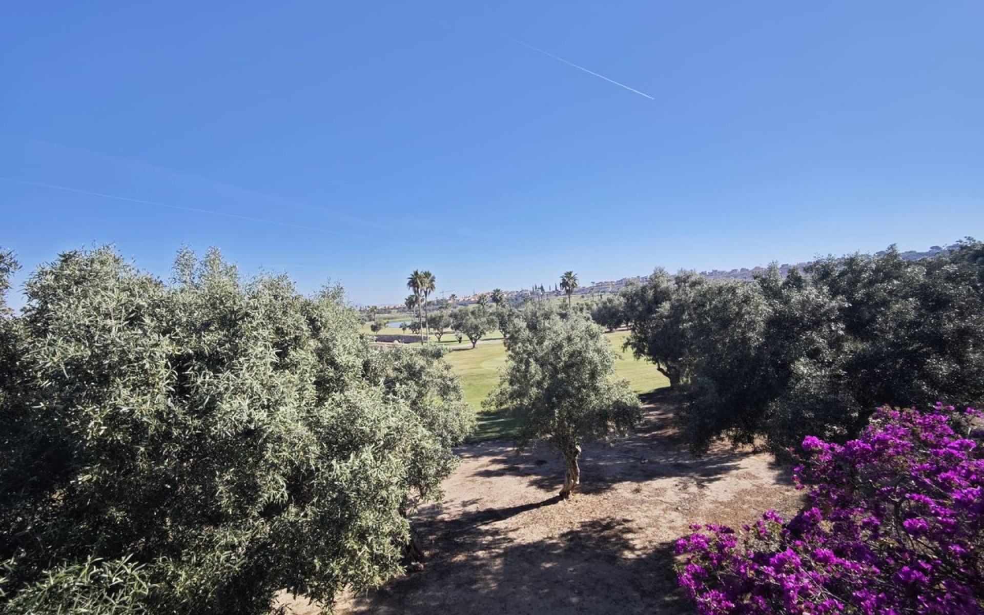 zum Verkauf - Villa - Algorfa - Algorfa Centro