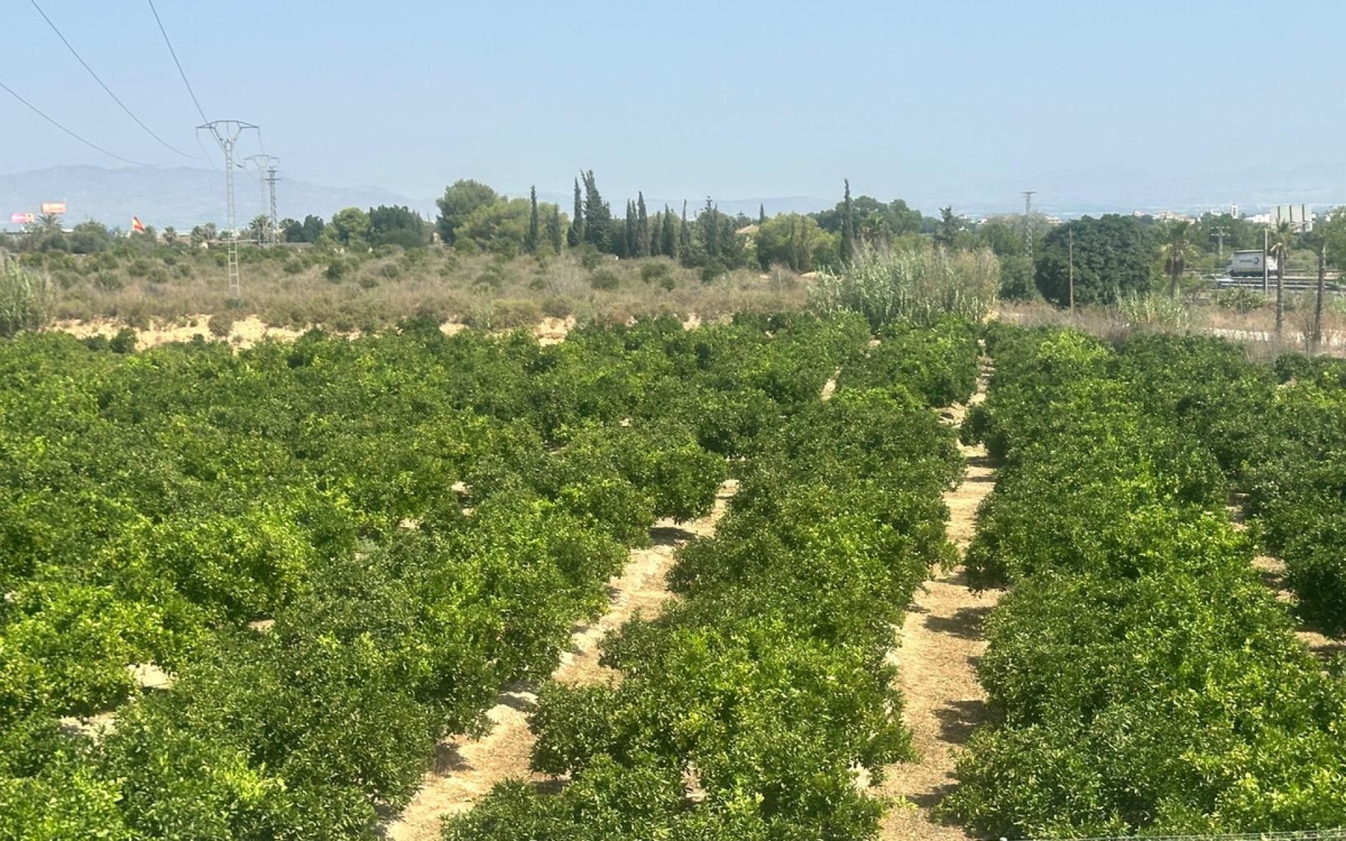 zum Verkauf - Villa - Algorfa - Algorfa Centro