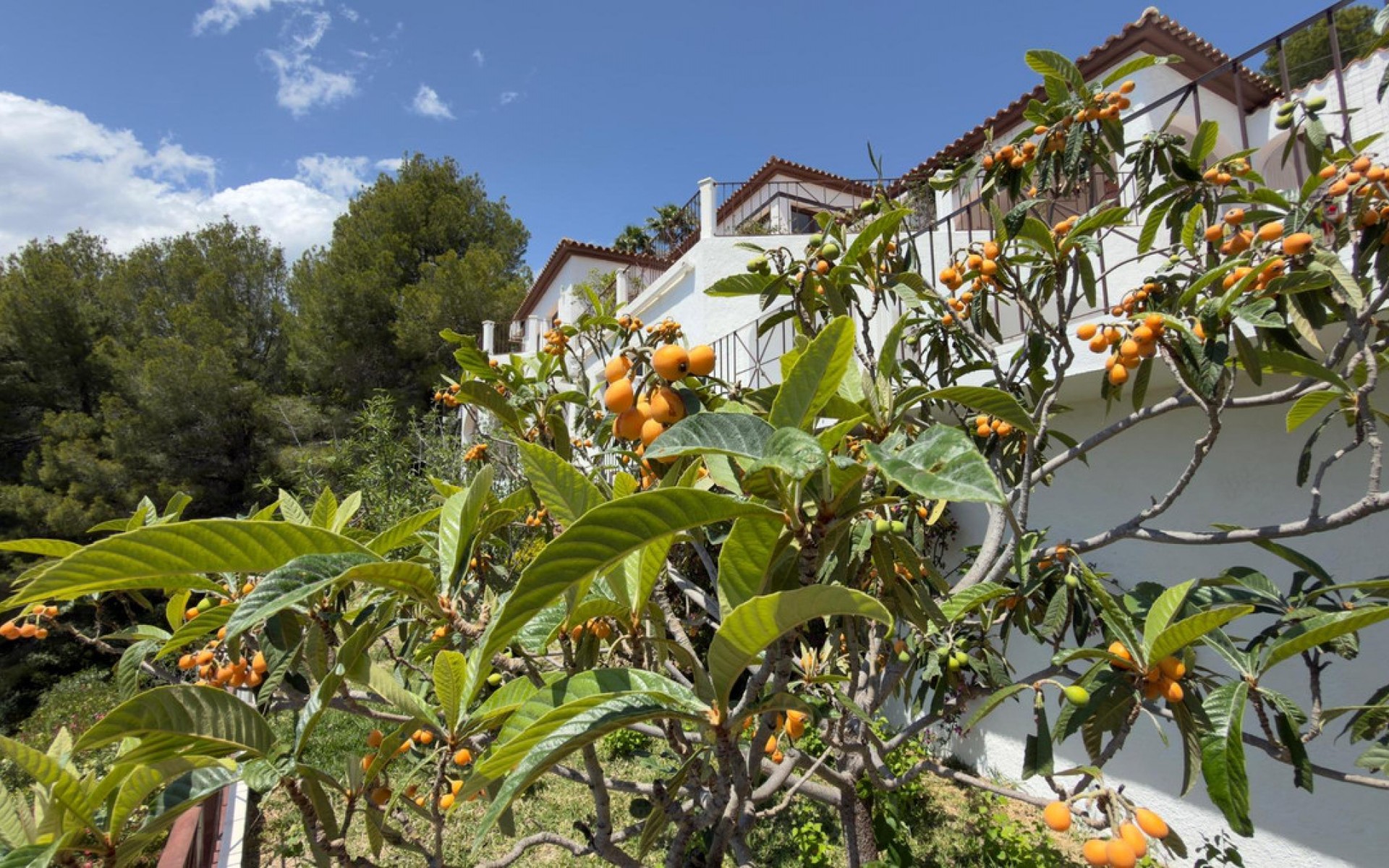 zum Verkauf - Villa - Altea - Altea Centro