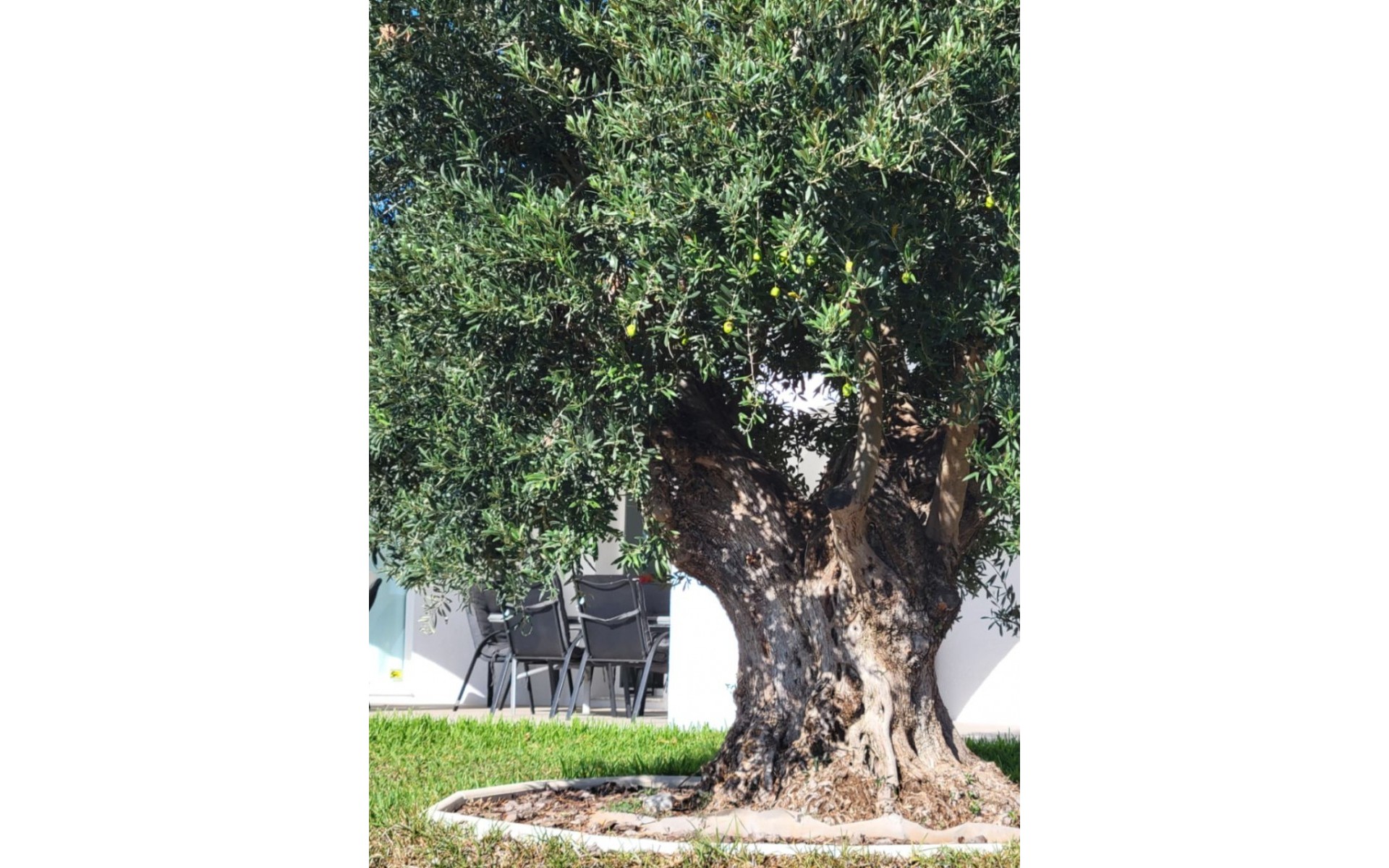 zum Verkauf - Villa - Calpe - Calpe Centro