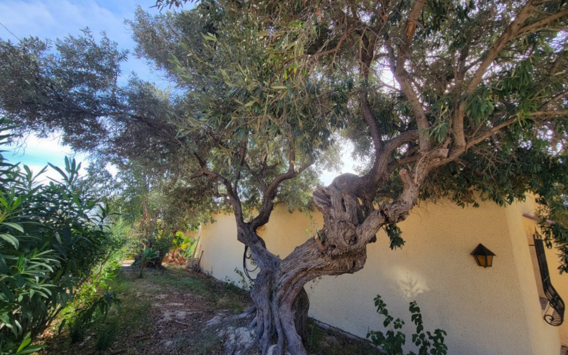 zum Verkauf - Villa - Calpe - Calpe Centro