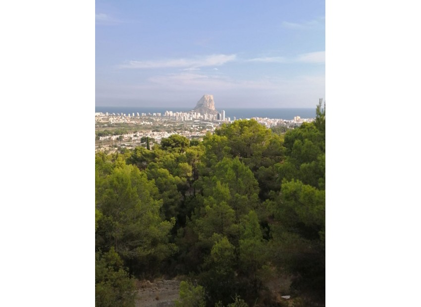 zum Verkauf - Villa - Calpe - Calpe Centro