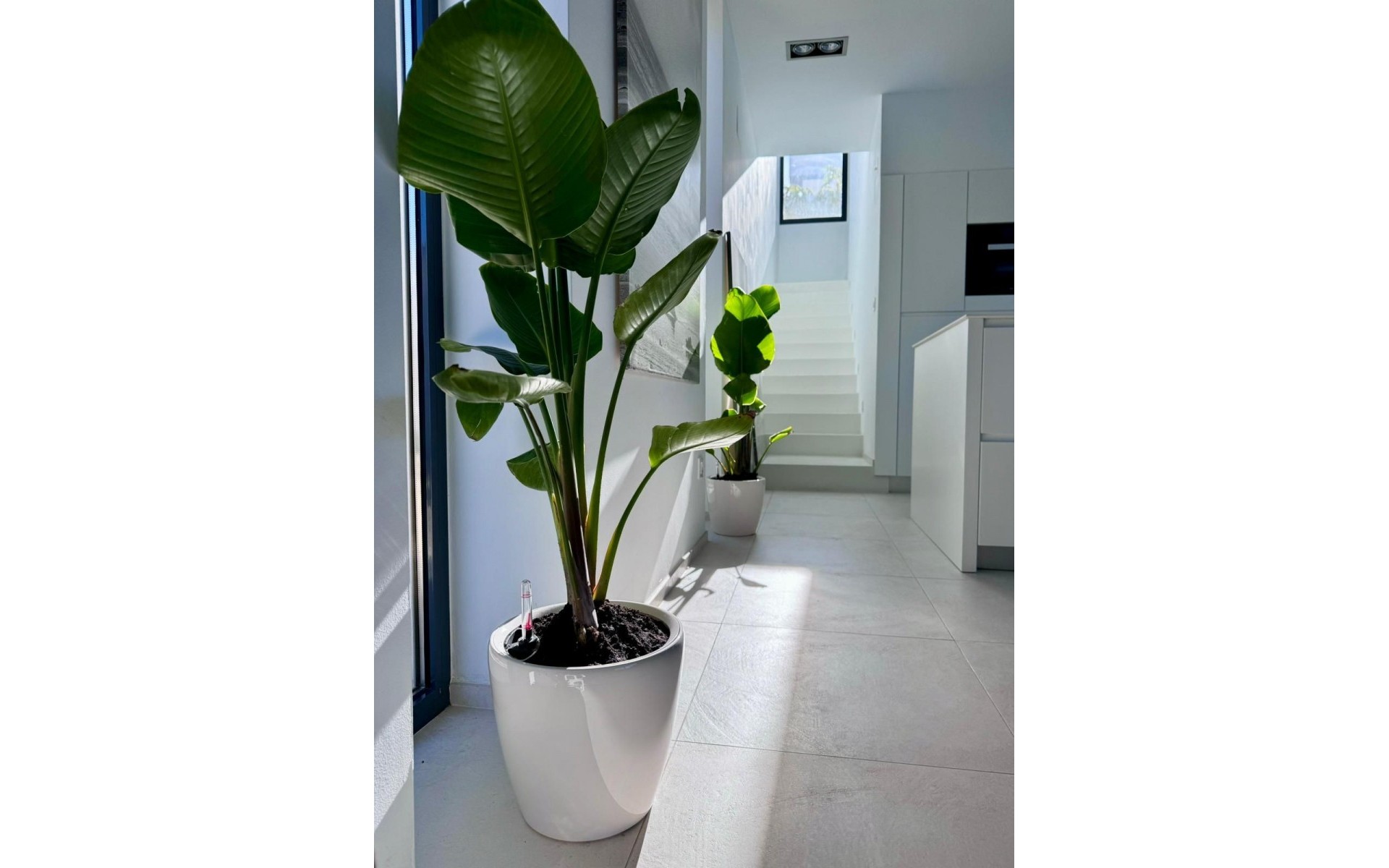 zum Verkauf - Villa - Calpe - Calpe Centro