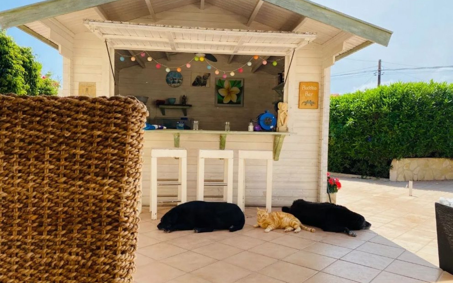 zum Verkauf - Villa - Calpe - Calpe Centro
