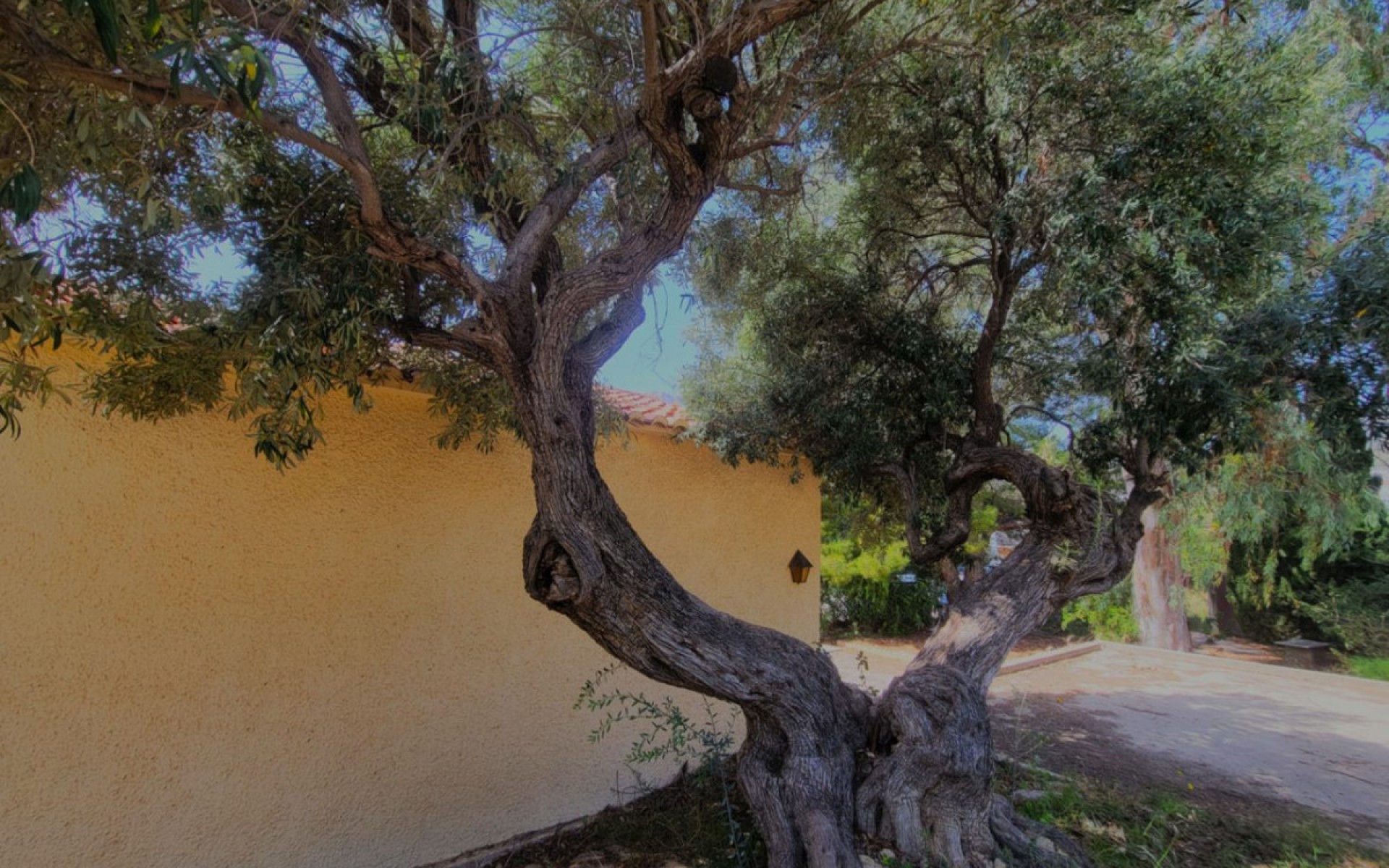 zum Verkauf - Villa - Calpe - Calpe Centro
