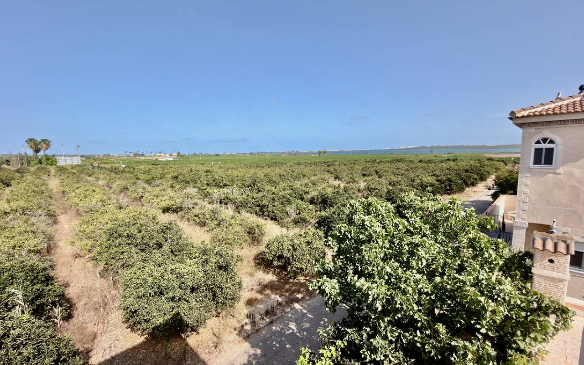zum Verkauf - Villa - Ciudad Quesada - Doña Pepa
