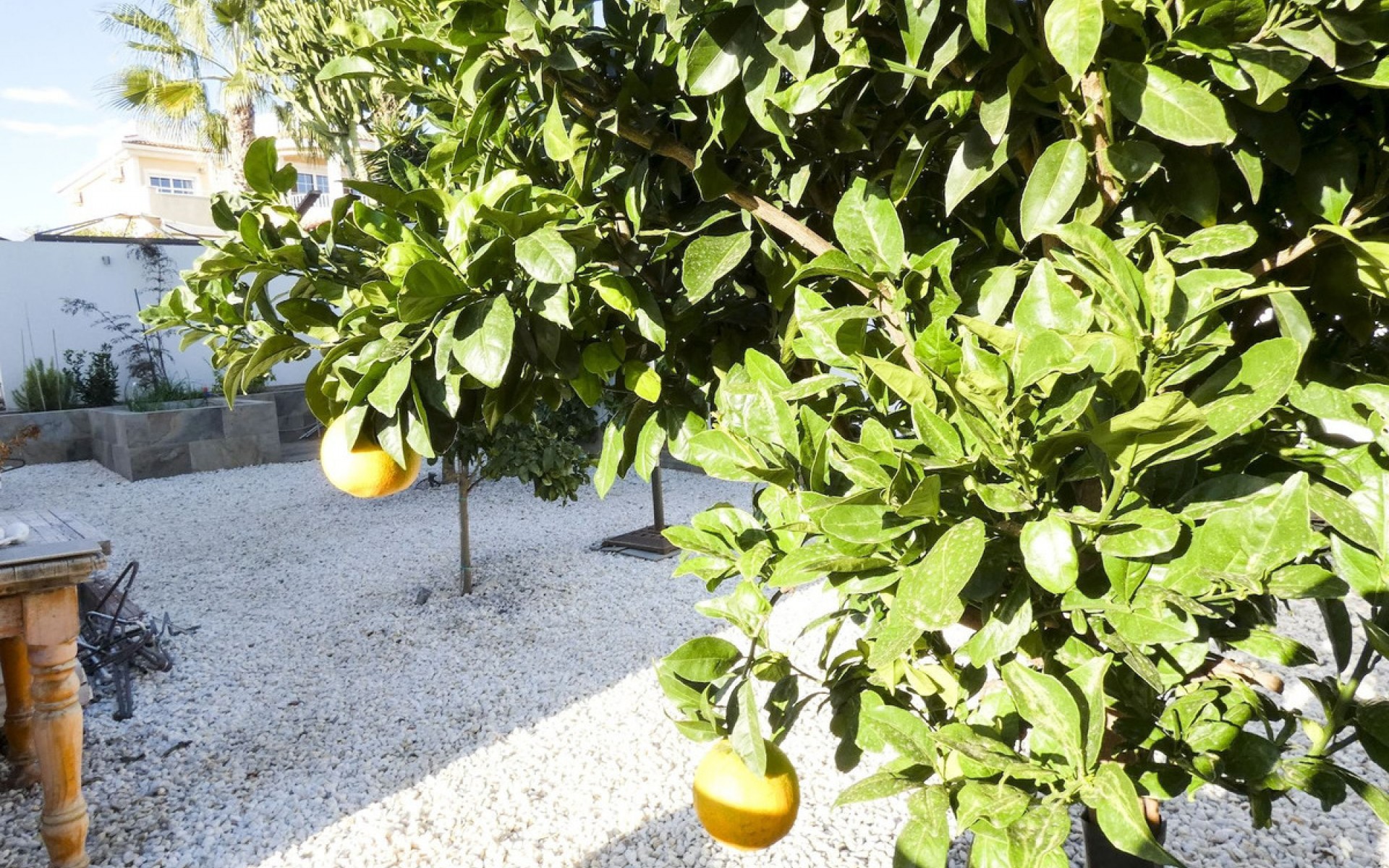 zum Verkauf - Villa - Ciudad Quesada