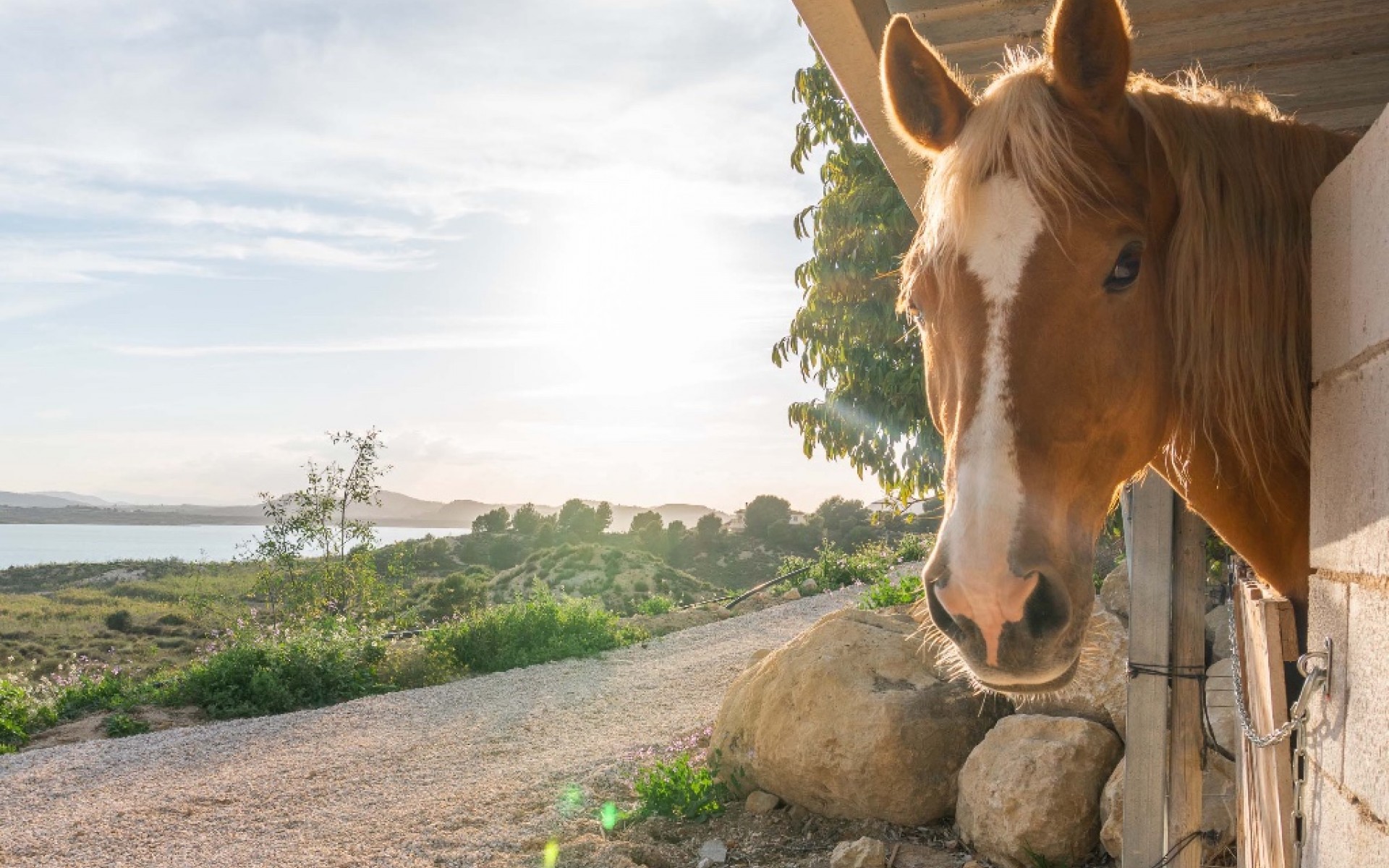 zum Verkauf - Villa - Costa Blanca - Orihuela Costa
