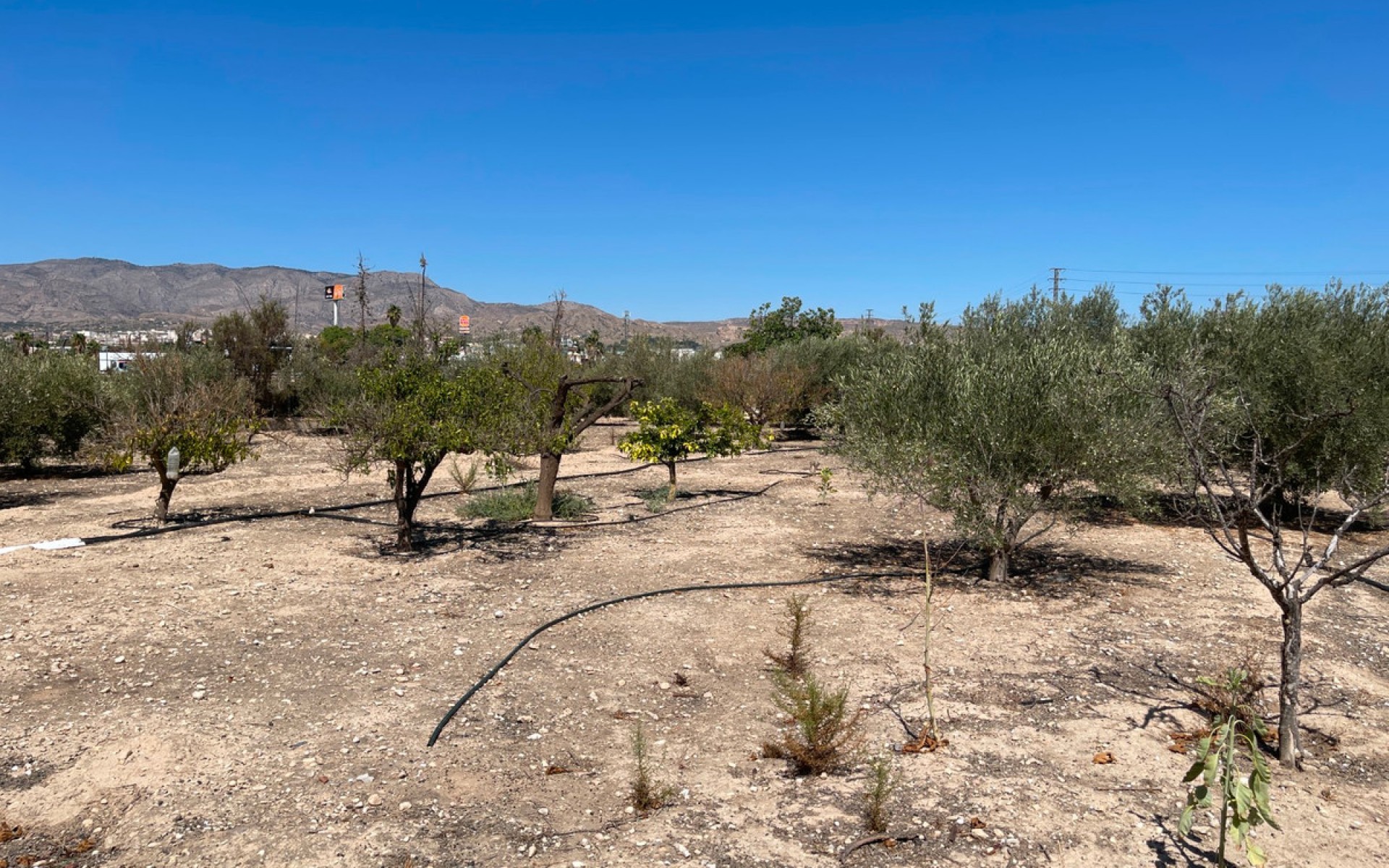 zum Verkauf - Villa - Crevillente - Crevillent - Crevillente - Crevillent Centro