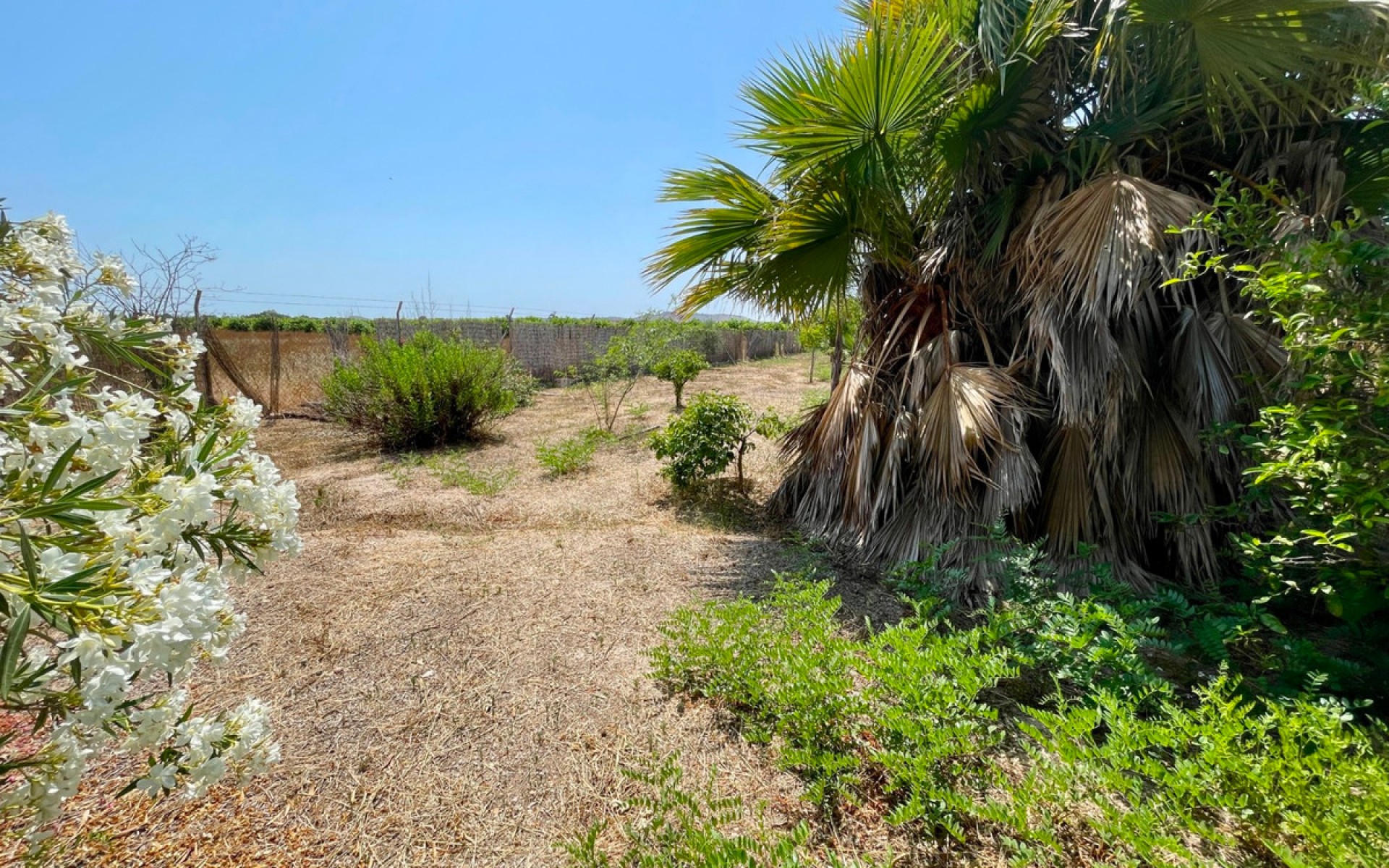 zum Verkauf - Villa - Daya Nueva - Daya Nueva Centro