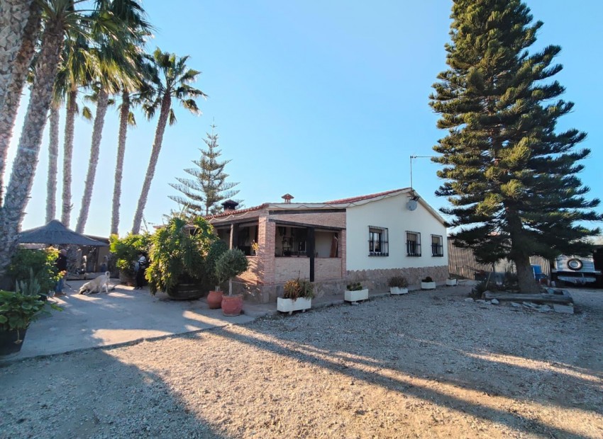 zum Verkauf - Villa - Elche - Las Bayas