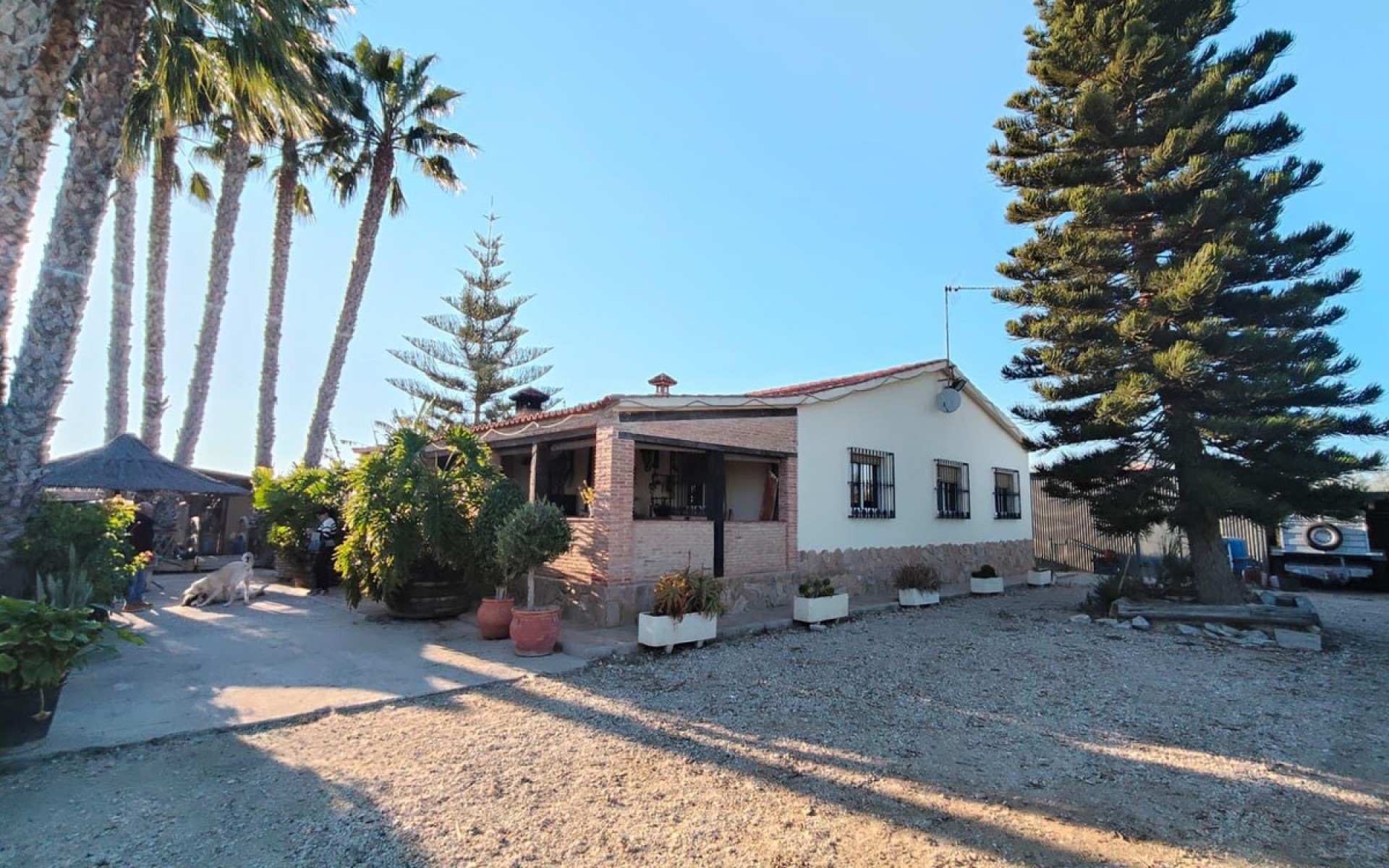 zum Verkauf - Villa - Elche - Las Bayas