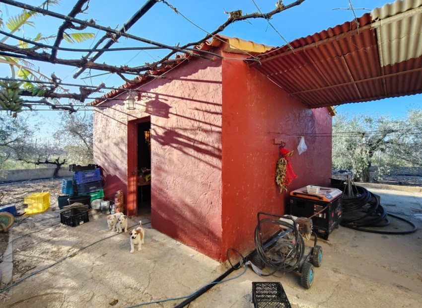 zum Verkauf - Villa - Elche - Las Bayas