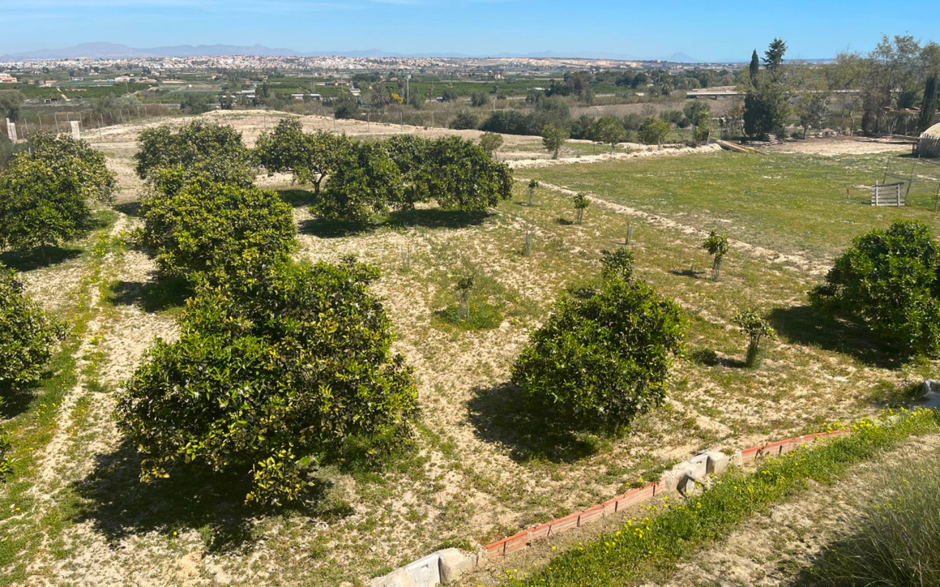 zum Verkauf - Villa - Guardamar Del Segura - Guardamar del Segura Centro