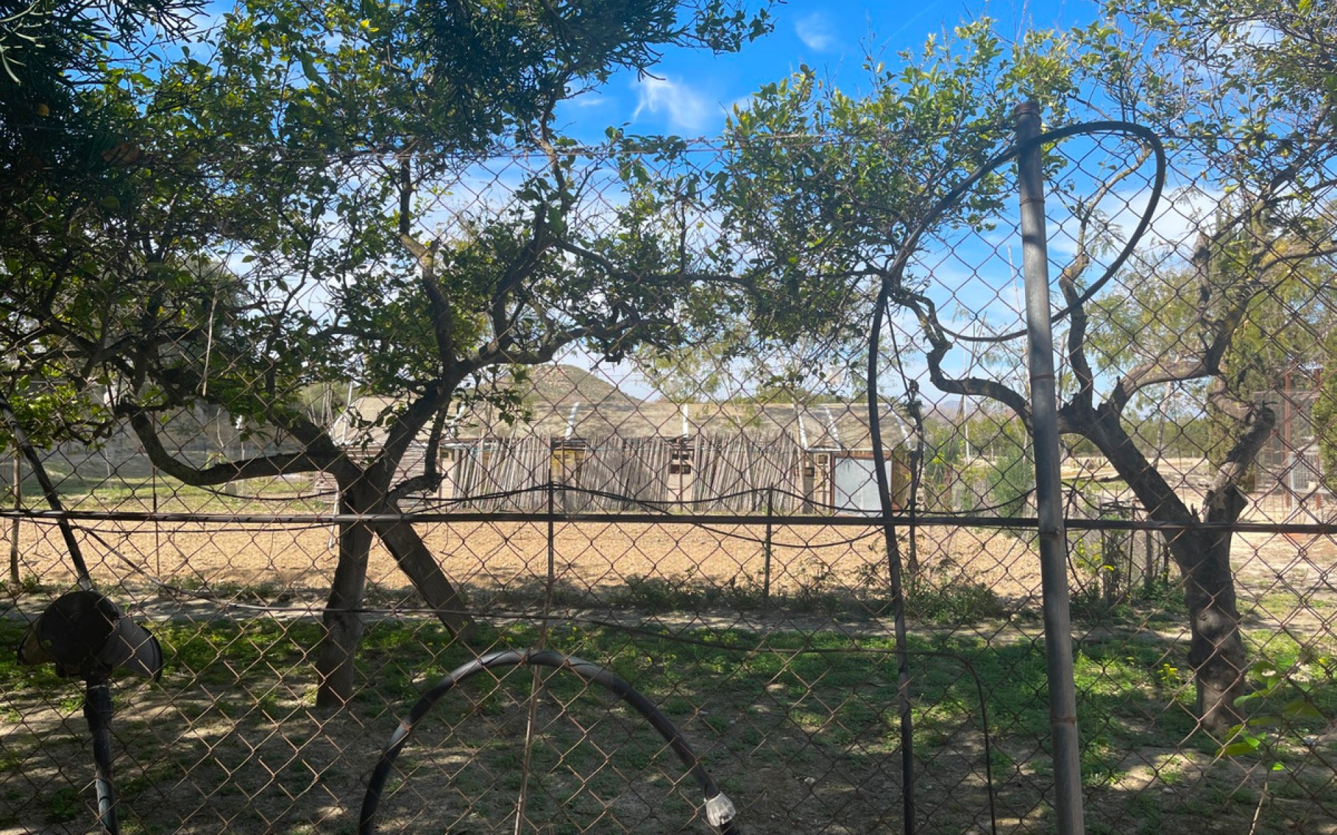 zum Verkauf - Villa - Guardamar Del Segura - Guardamar del Segura Centro
