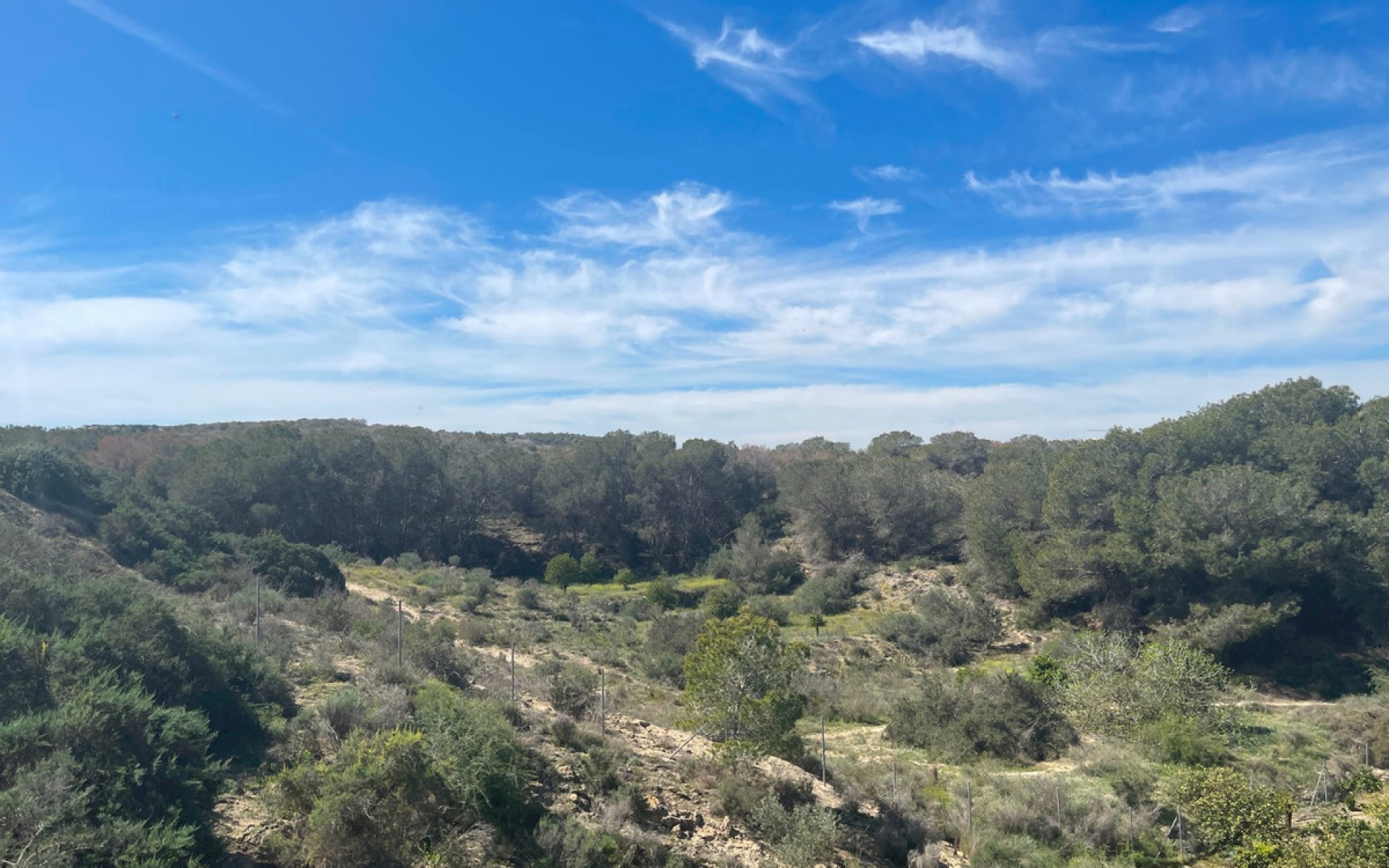zum Verkauf - Villa - Guardamar Del Segura - Guardamar del Segura Centro