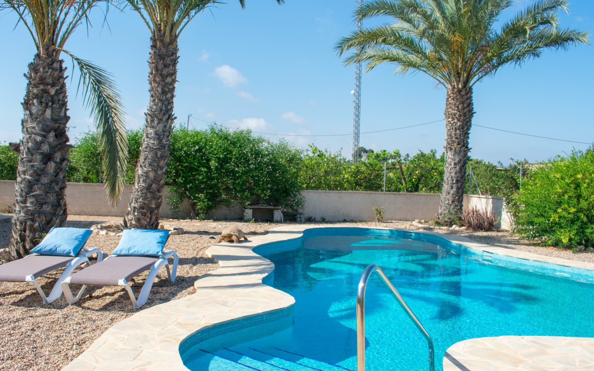 zum Verkauf - Villa - Guardamar Del Segura - Urbanización El Raso