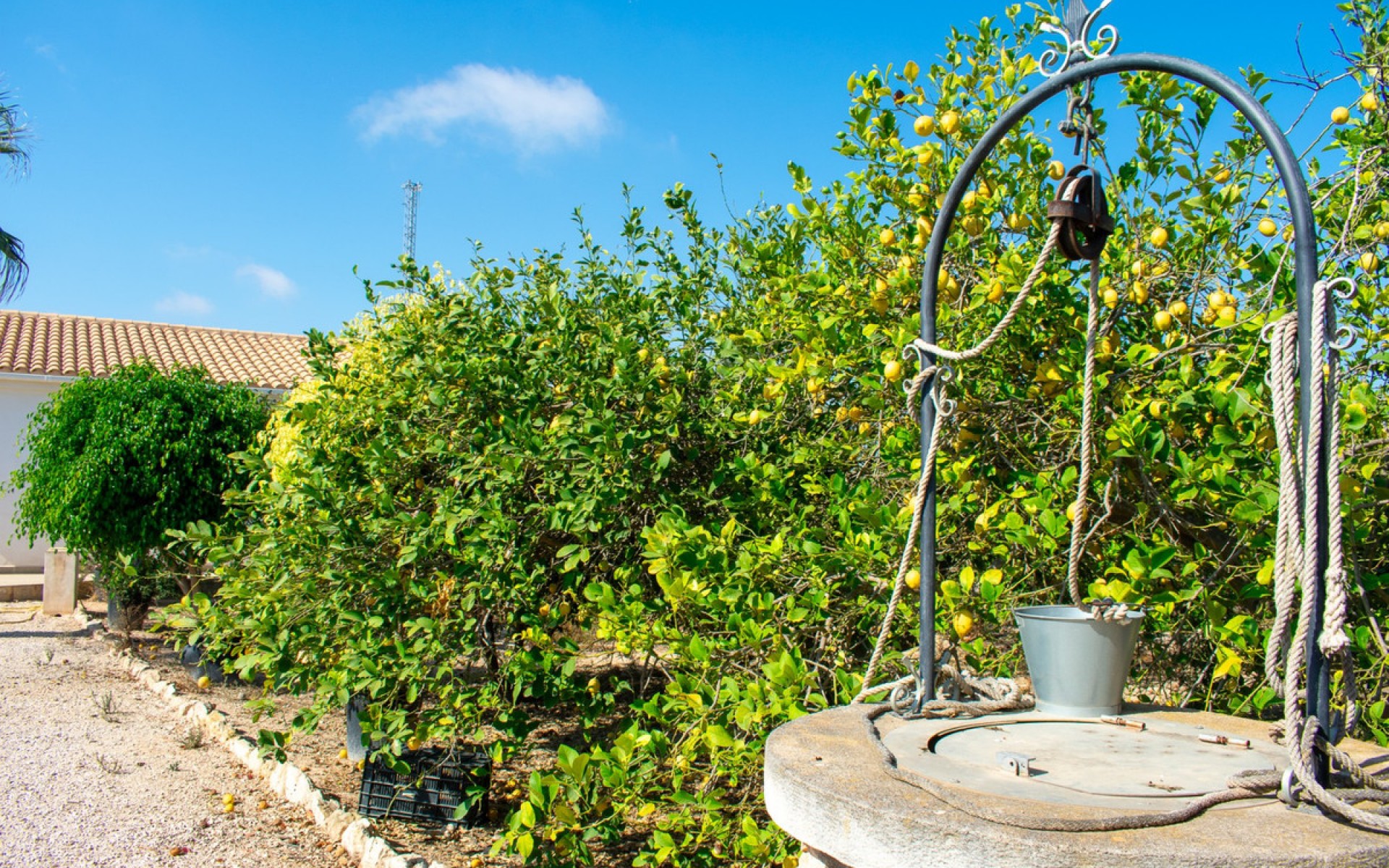 zum Verkauf - Villa - Guardamar Del Segura - Urbanización El Raso