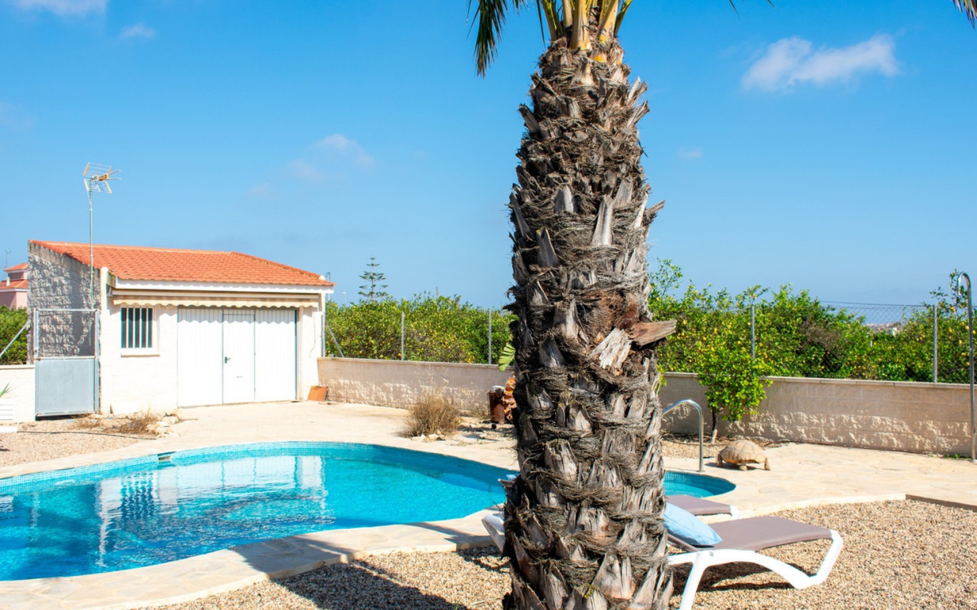 zum Verkauf - Villa - Guardamar Del Segura - Urbanización El Raso