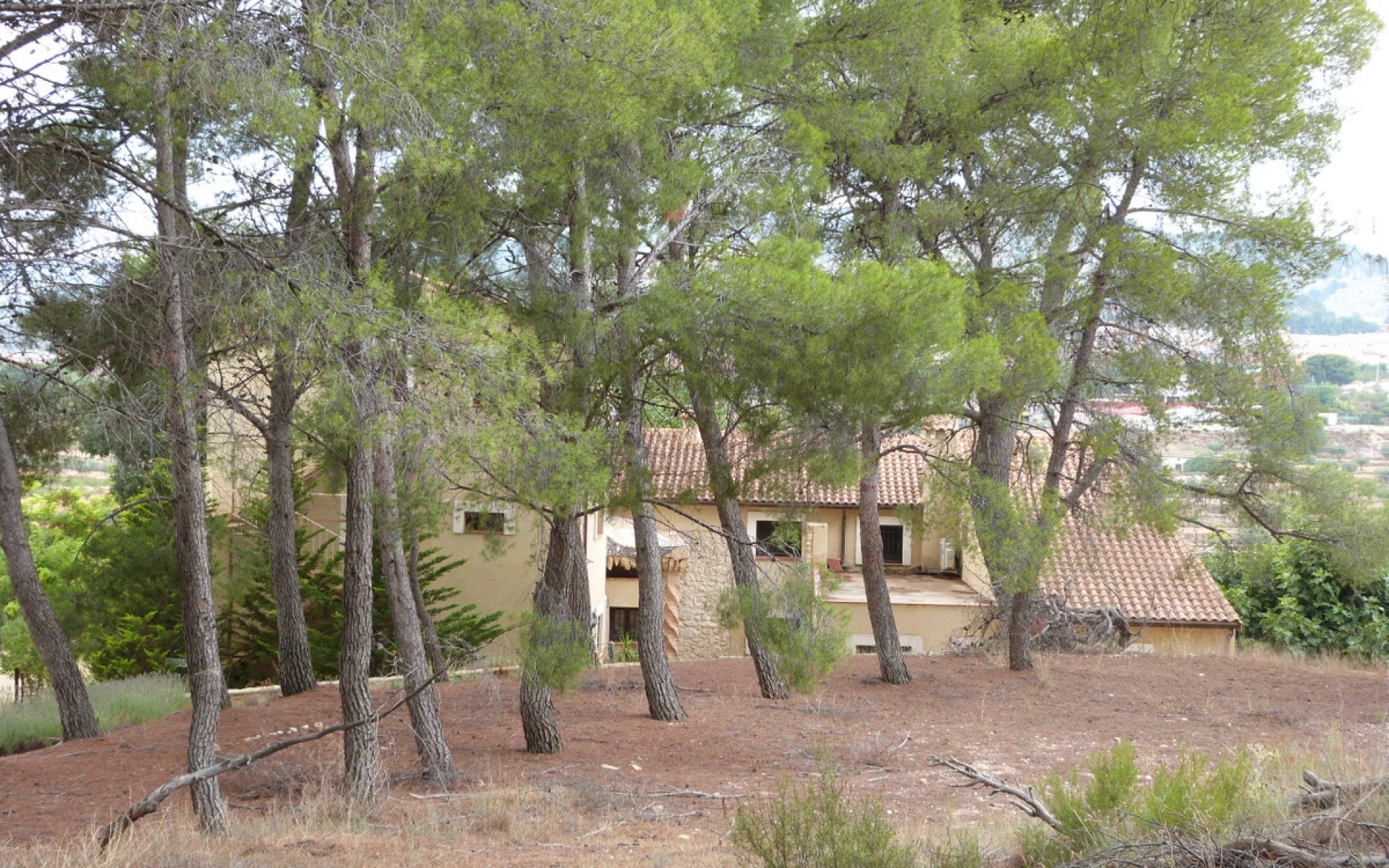 zum Verkauf - Villa - Ibi - Ibi Centro