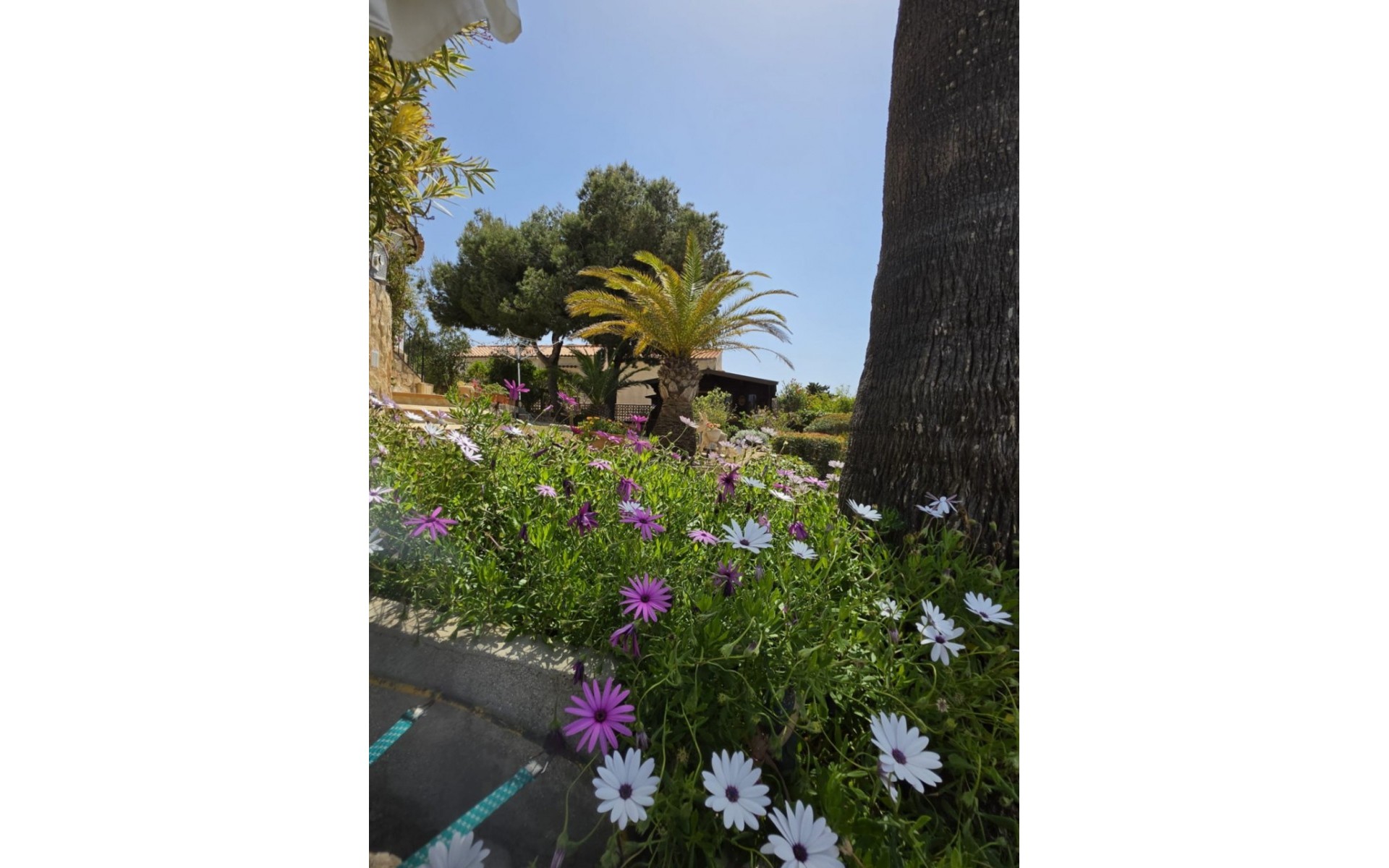 zum Verkauf - Villa - Javea - Jávea - Xàbia Centro