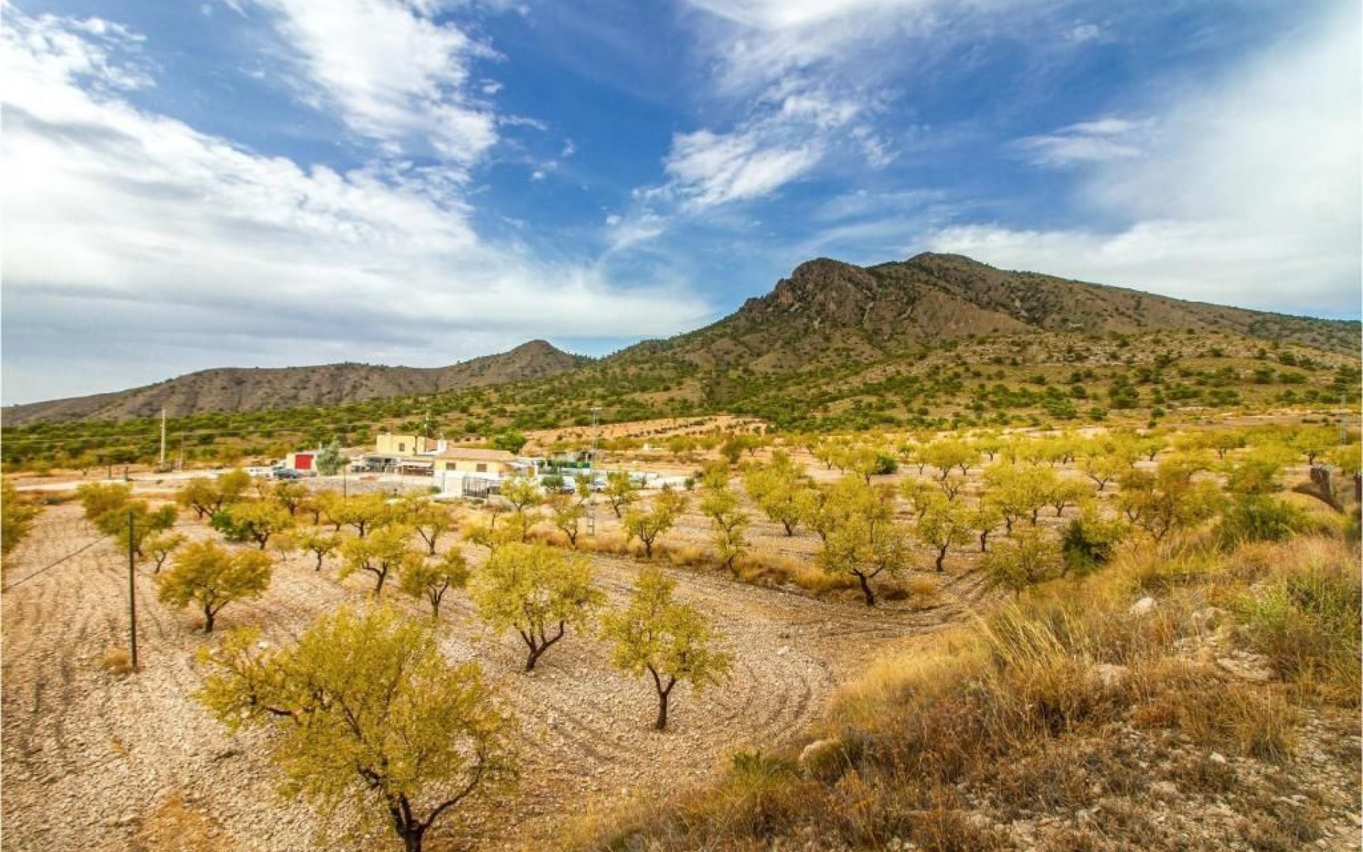 zum Verkauf - Villa - Jumilla - Jumilla Centro