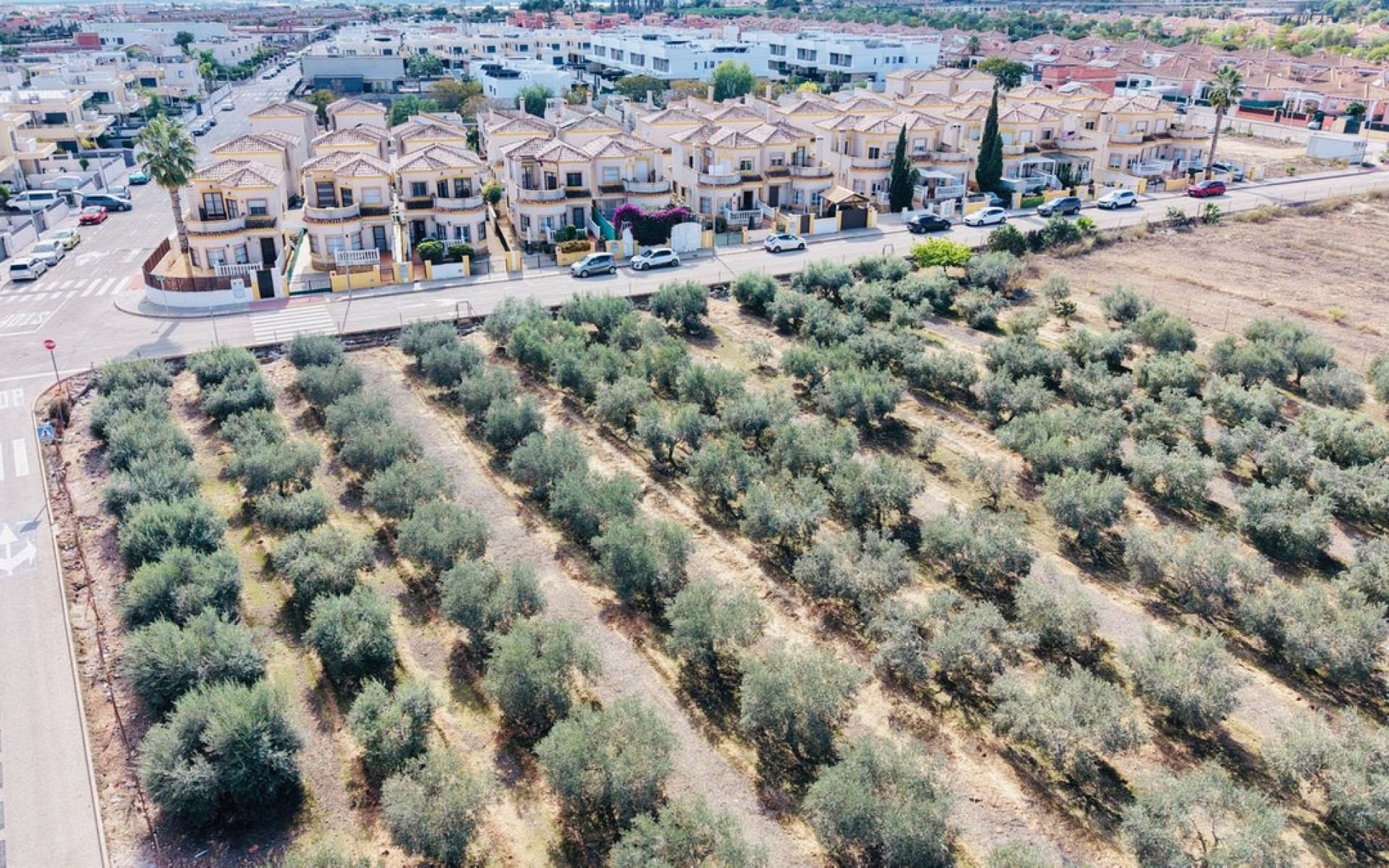 zum Verkauf - Villa - Los Montesinos - Los Montesinos Centro