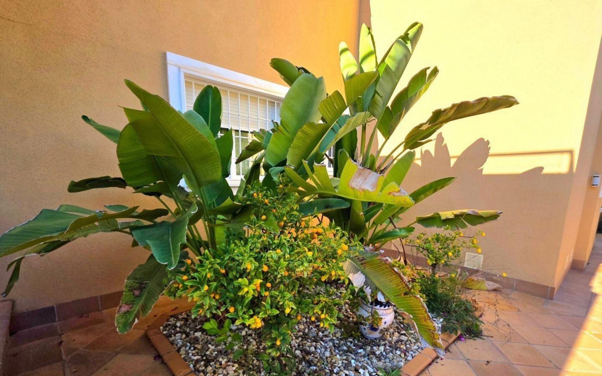 zum Verkauf - Villa - Orihuela - Campoamor