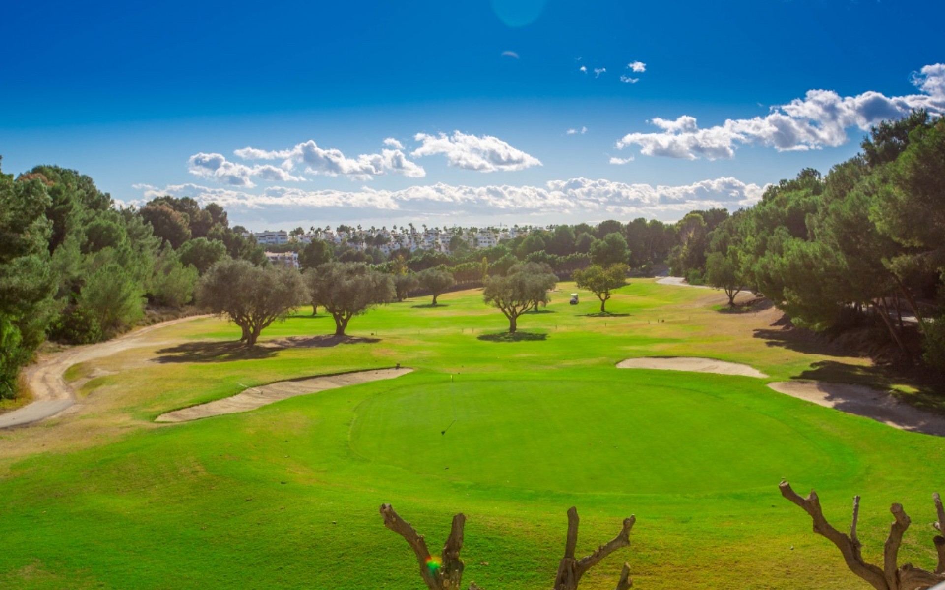 zum Verkauf - Villa - Orihuela Costa - Villamartin