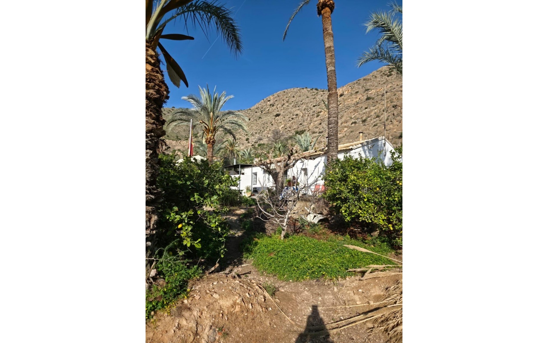 zum Verkauf - Villa - Orihuela - Orihuela Centro