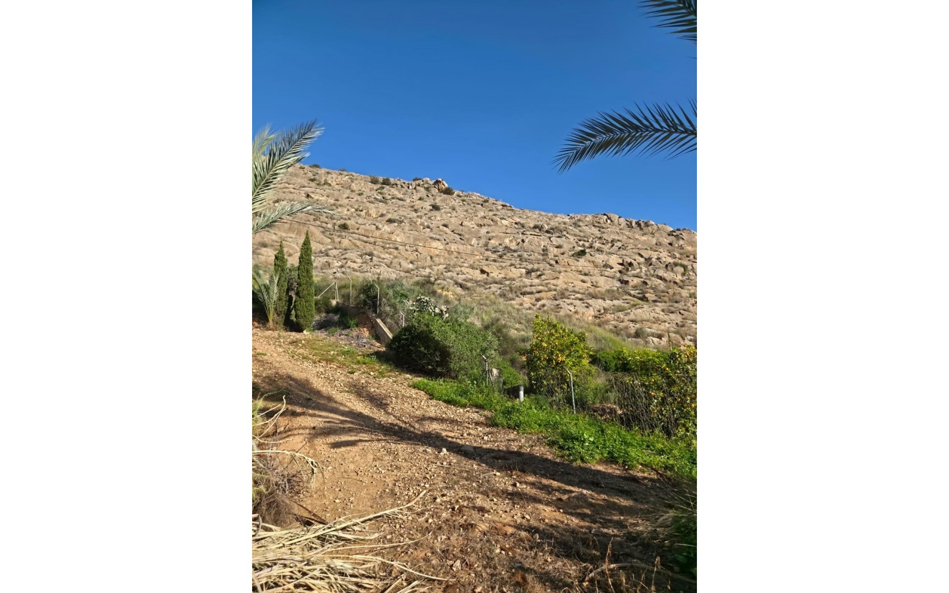 zum Verkauf - Villa - Orihuela - Orihuela Centro