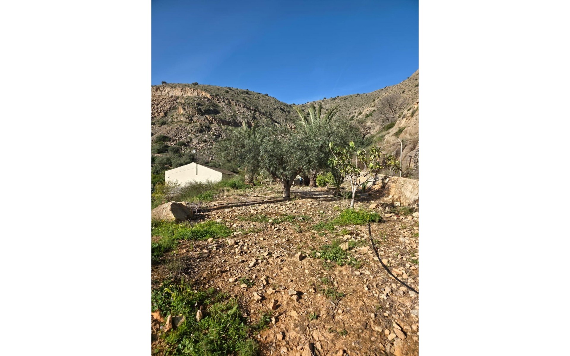zum Verkauf - Villa - Orihuela - Orihuela Centro