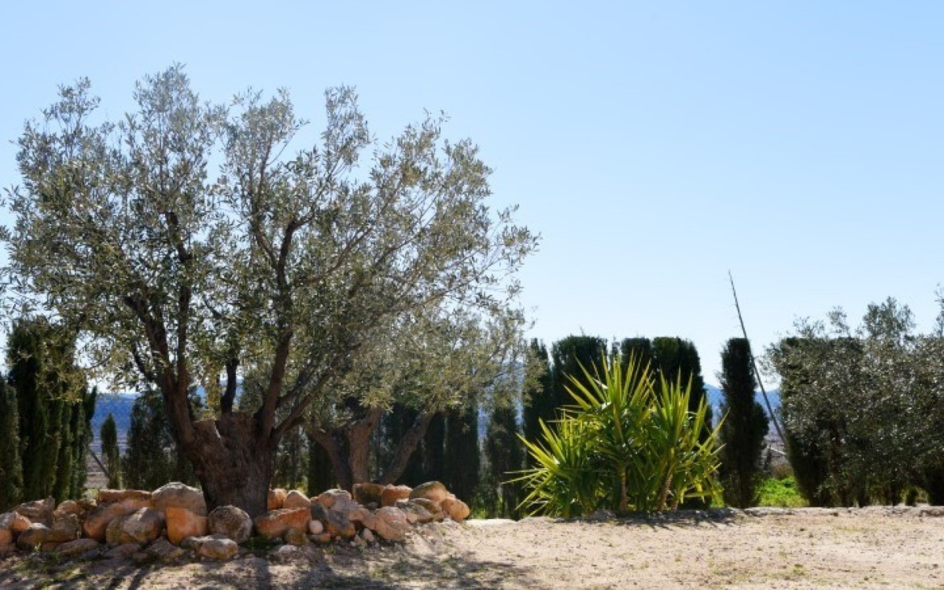 zum Verkauf - Villa - Pinoso - Pinoso Centro