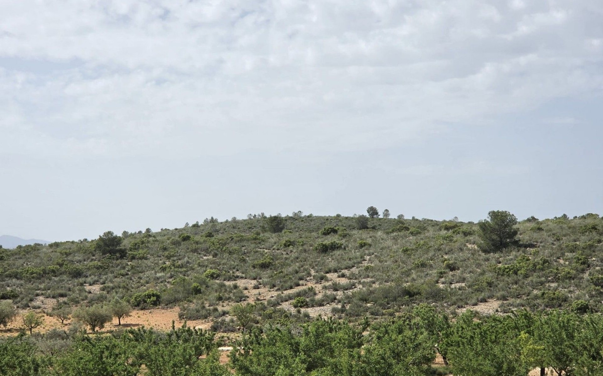zum Verkauf - Villa - Pinoso - Pinoso Centro