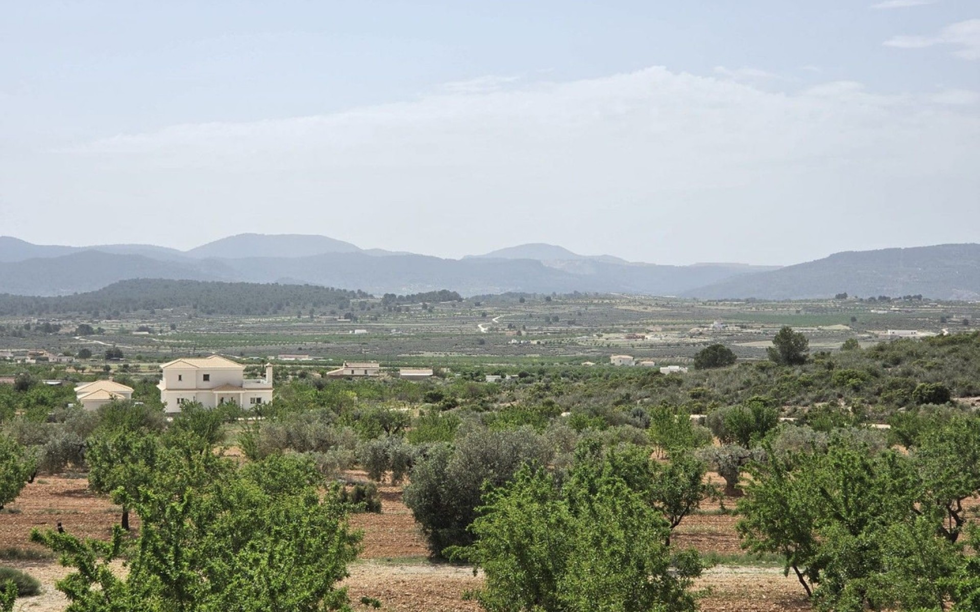 zum Verkauf - Villa - Pinoso - Pinoso Centro