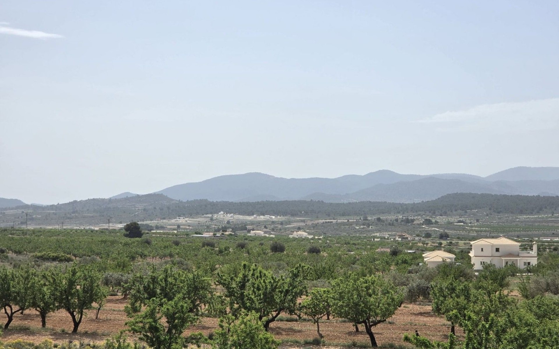 zum Verkauf - Villa - Pinoso - Pinoso Centro