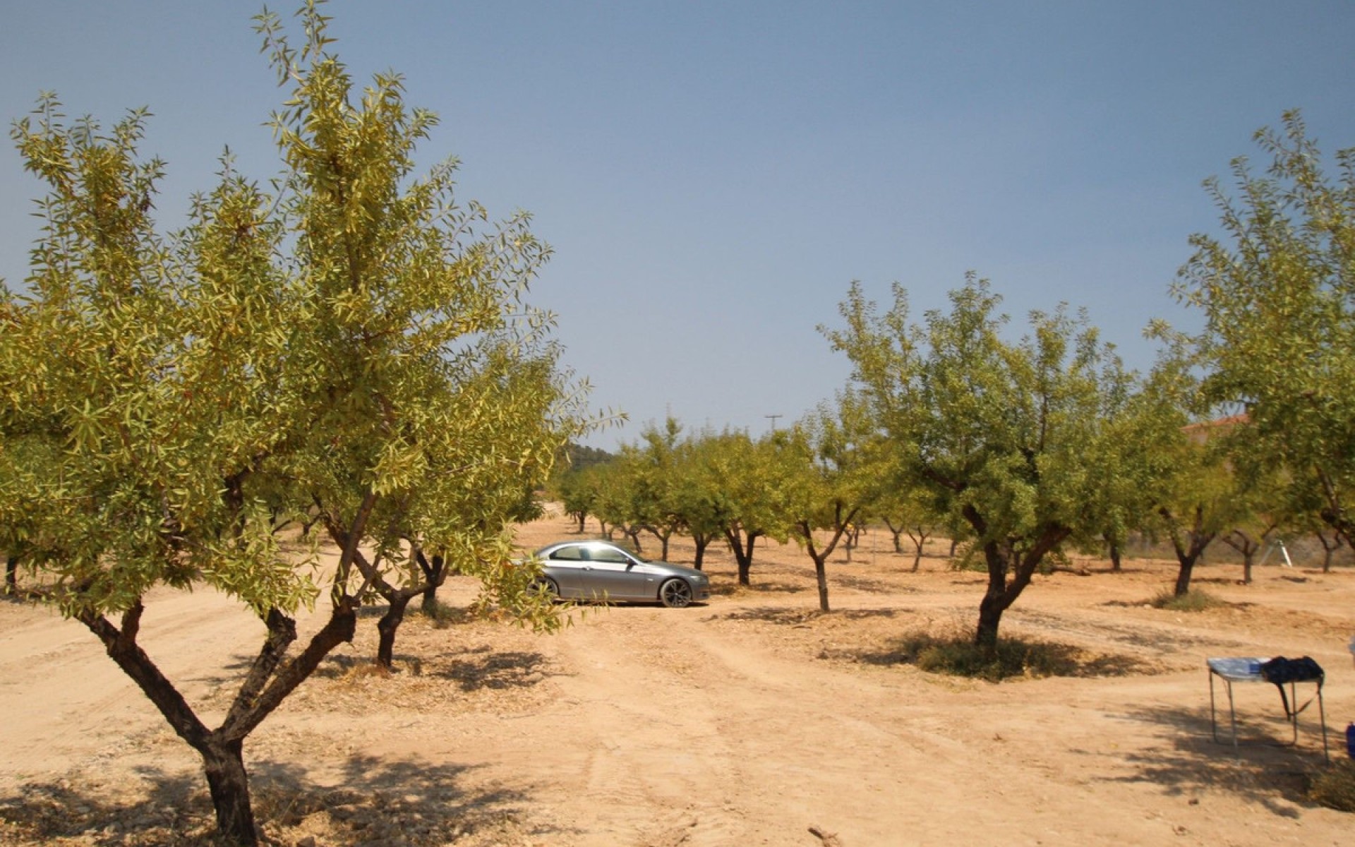 zum Verkauf - Villa - Pinoso - Pinoso Centro