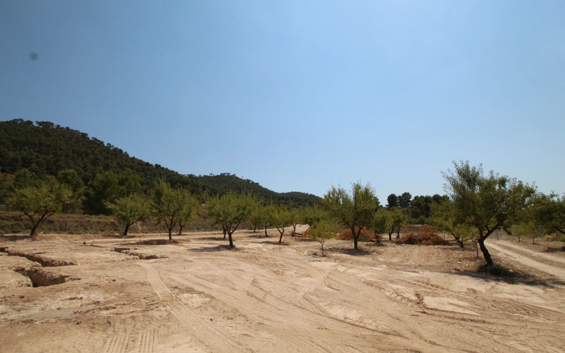 zum Verkauf - Villa - Pinoso - Pinoso Centro