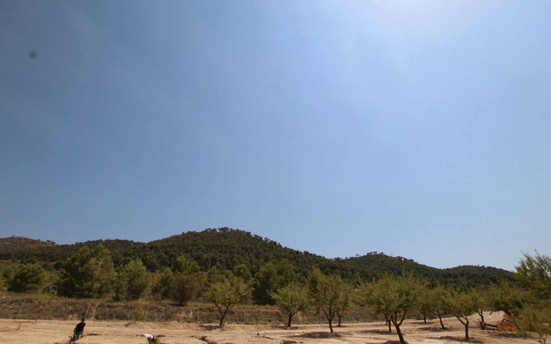 zum Verkauf - Villa - Pinoso - Pinoso Centro