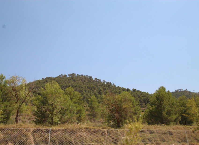 zum Verkauf - Villa - Pinoso - Pinoso Centro