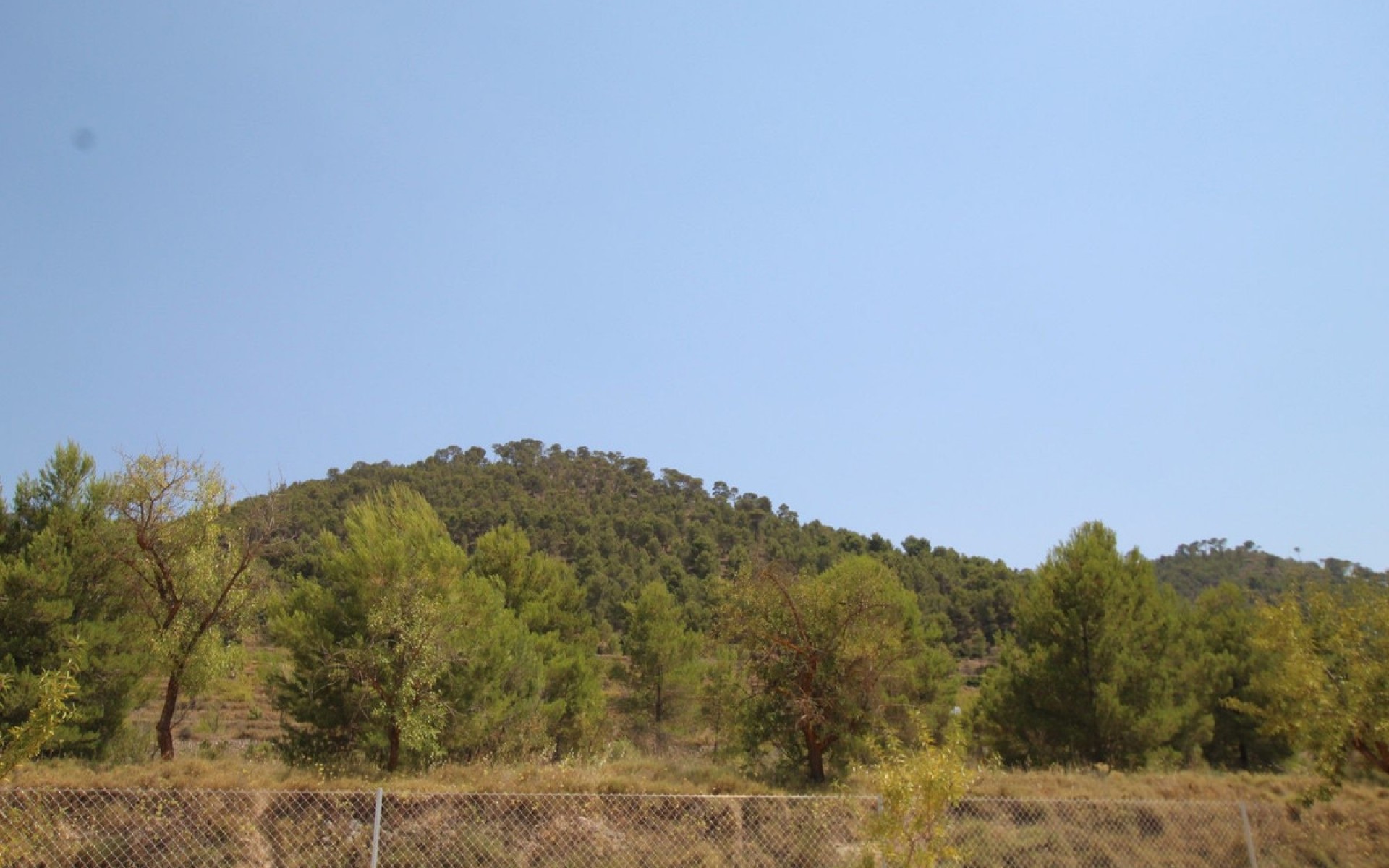 zum Verkauf - Villa - Pinoso - Pinoso Centro