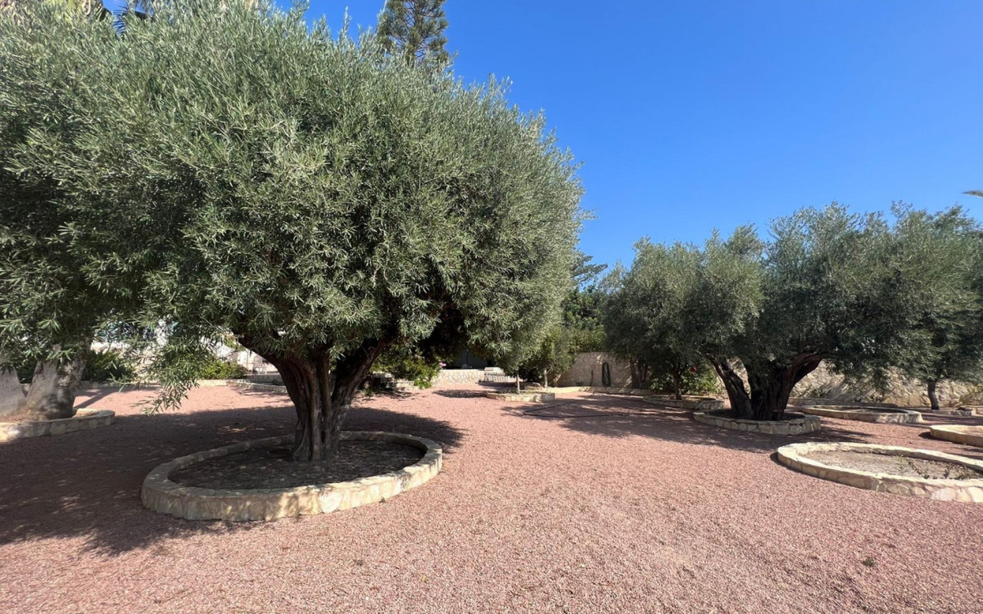 zum Verkauf - Villa - Rojales - Ciudad Quesada