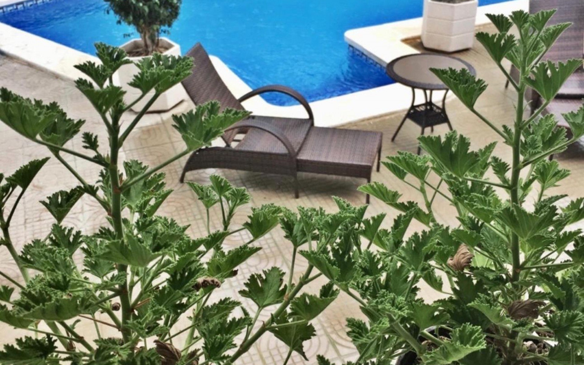 zum Verkauf - Villa - Rojales - Ciudad Quesada