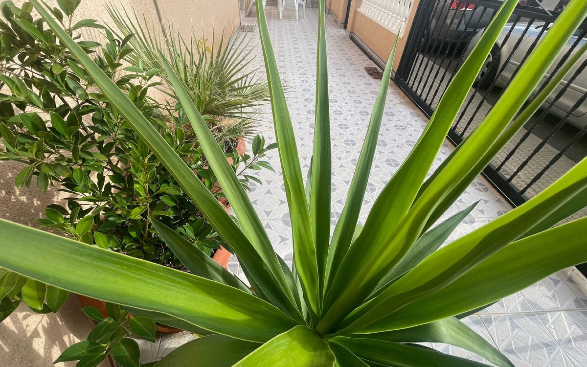 zum Verkauf - Villa - San Pedro del Pinatar - Lo Pagan