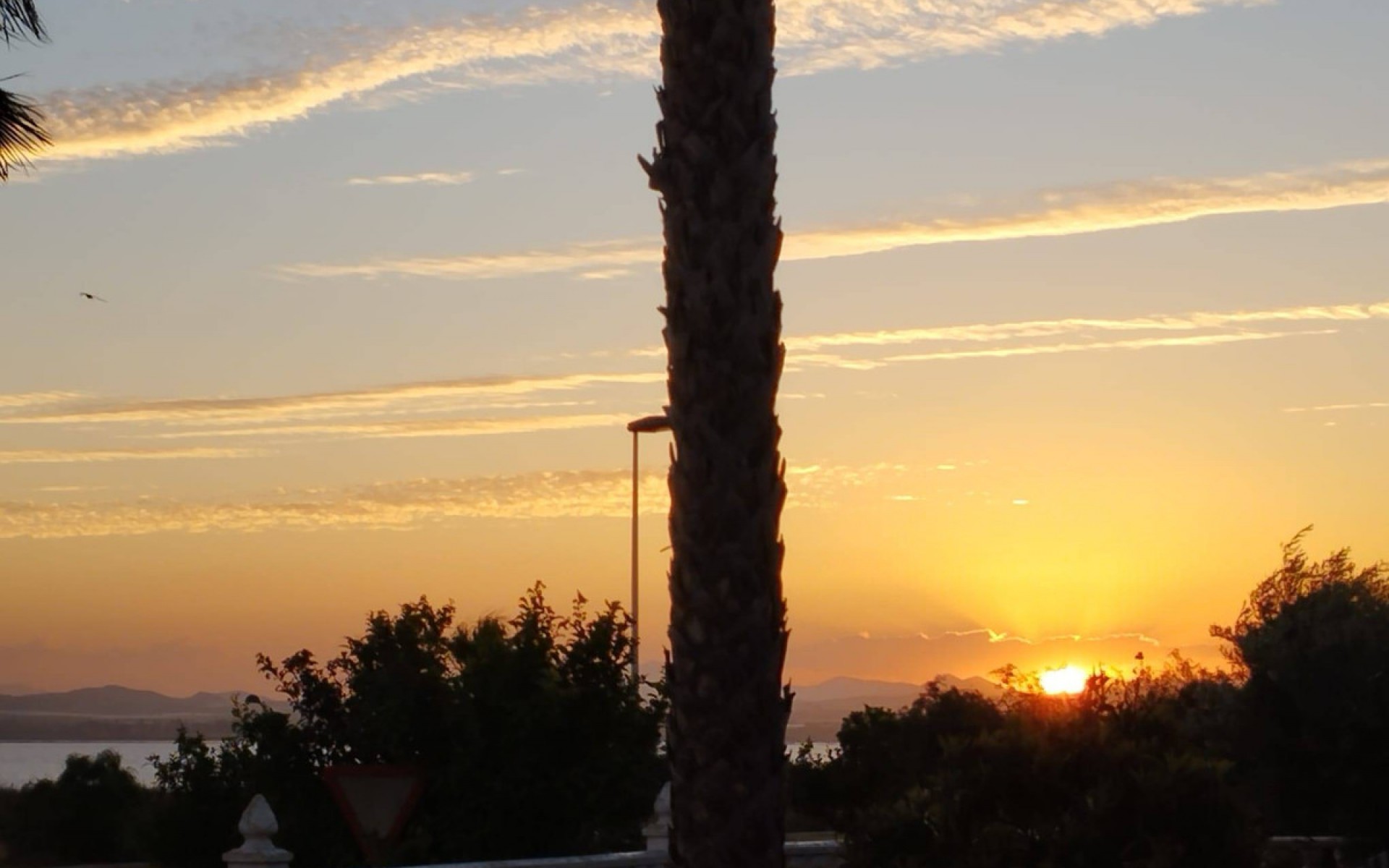 zum Verkauf - Villa - Torrevieja - La Siesta
