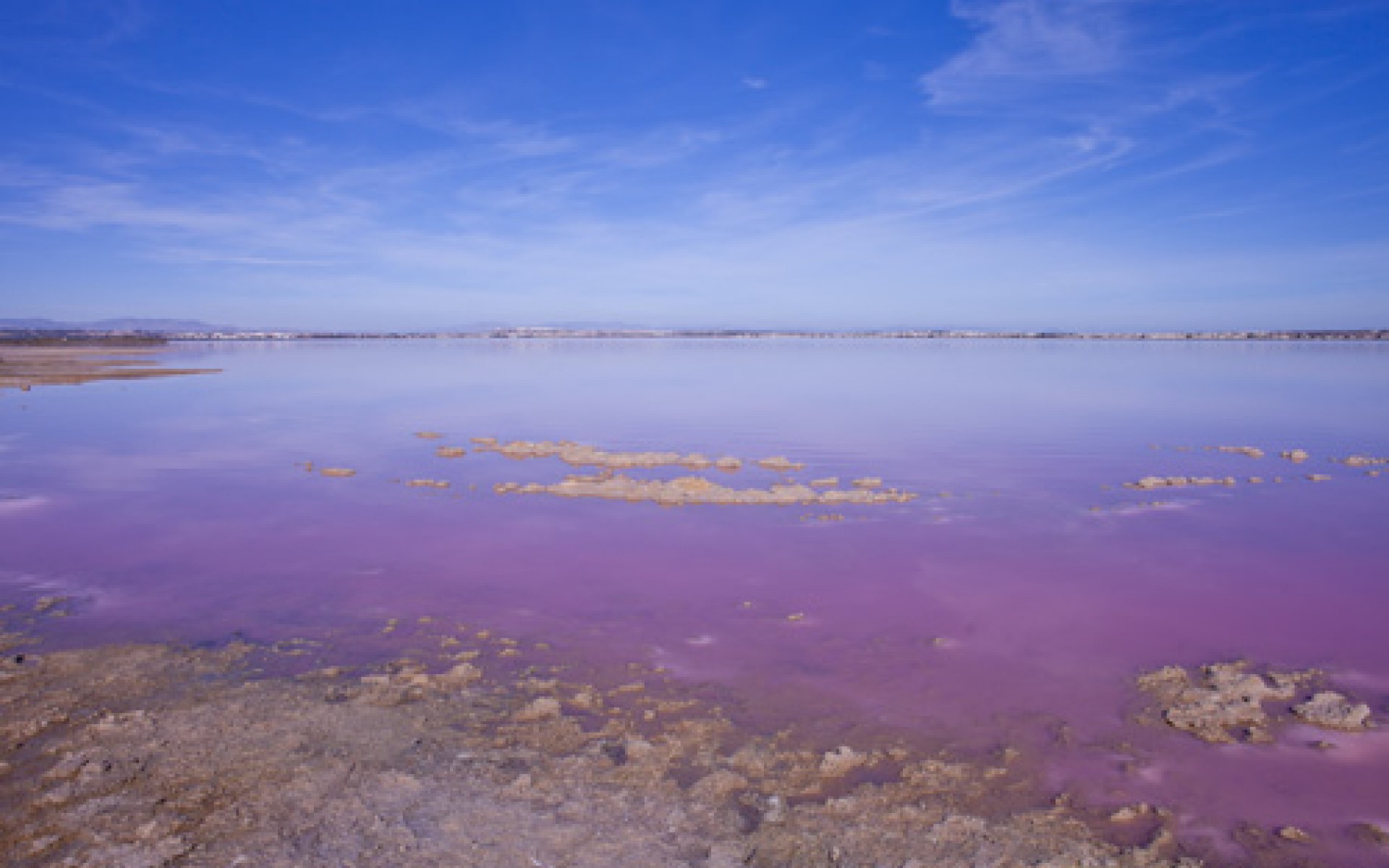 zum Verkauf - Villa - Torrevieja - Los Altos