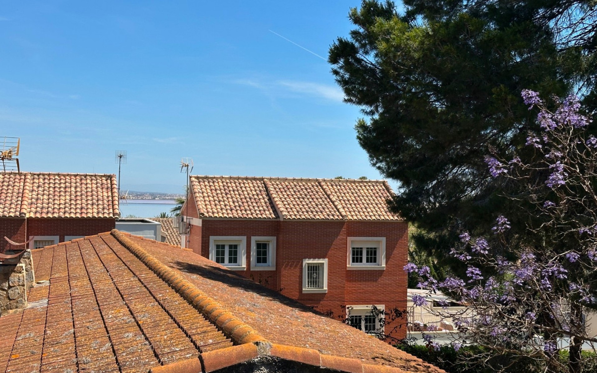 zum Verkauf - Villa - Torrevieja - Torrevieja Centro