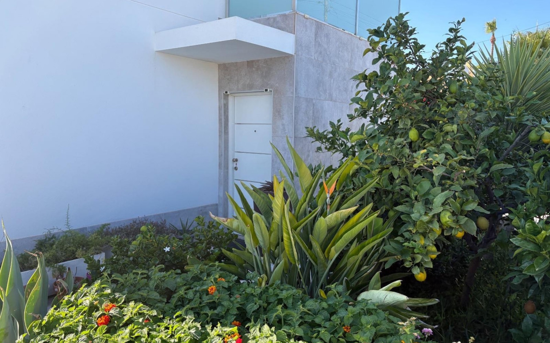 zum Verkauf - Villa - Torrevieja - Torrevieja Centro