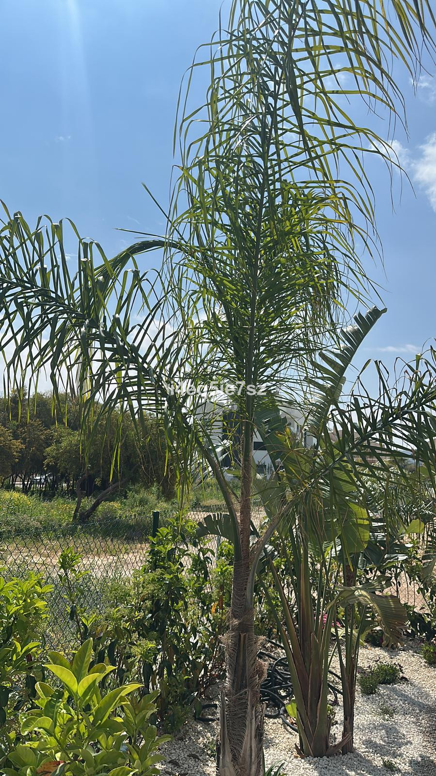 Apartment in Javea - Image 3