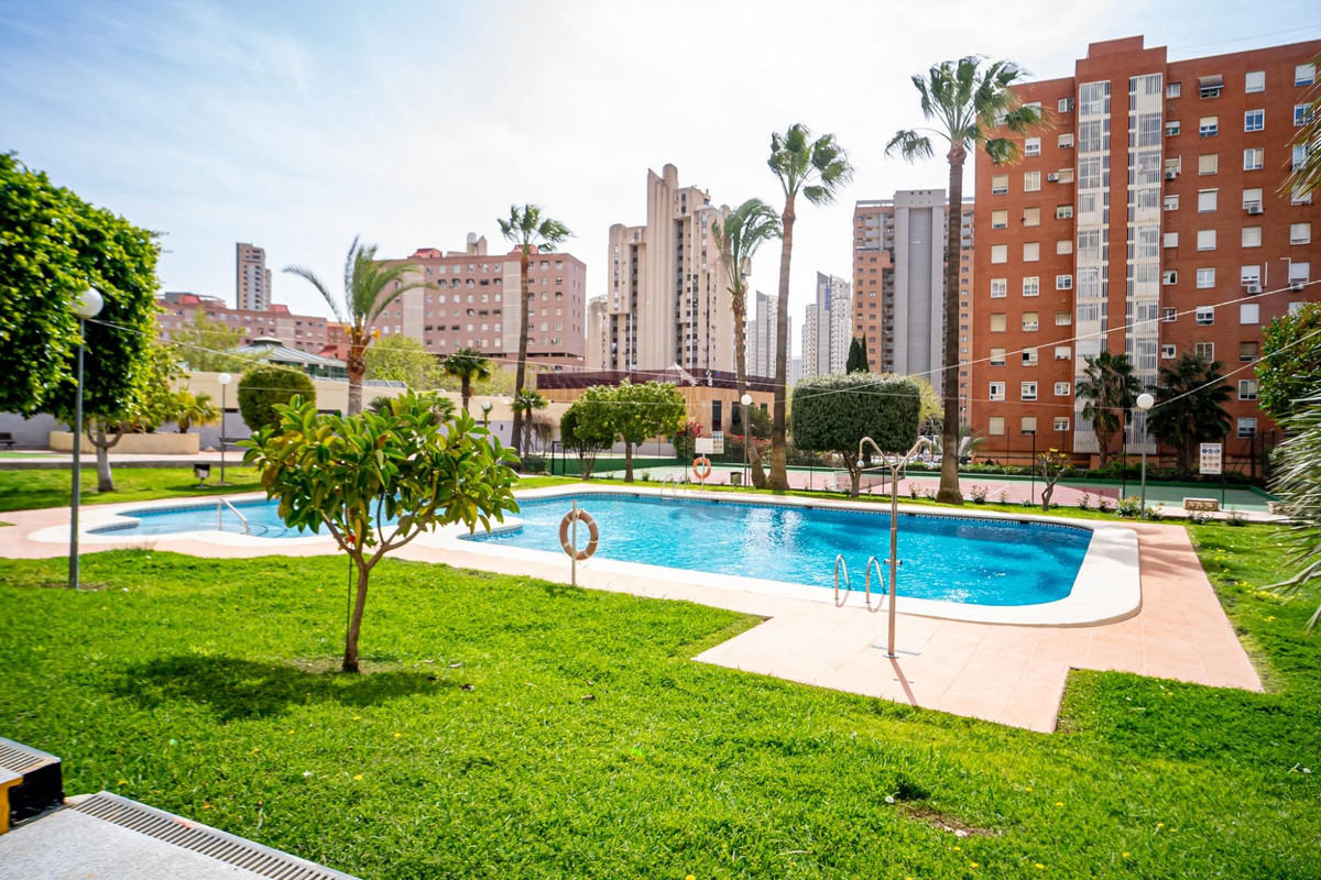 Apartment in Benidorm - view 1